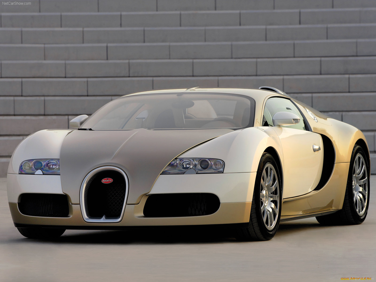 bugatti, veyron, 2009, автомобили