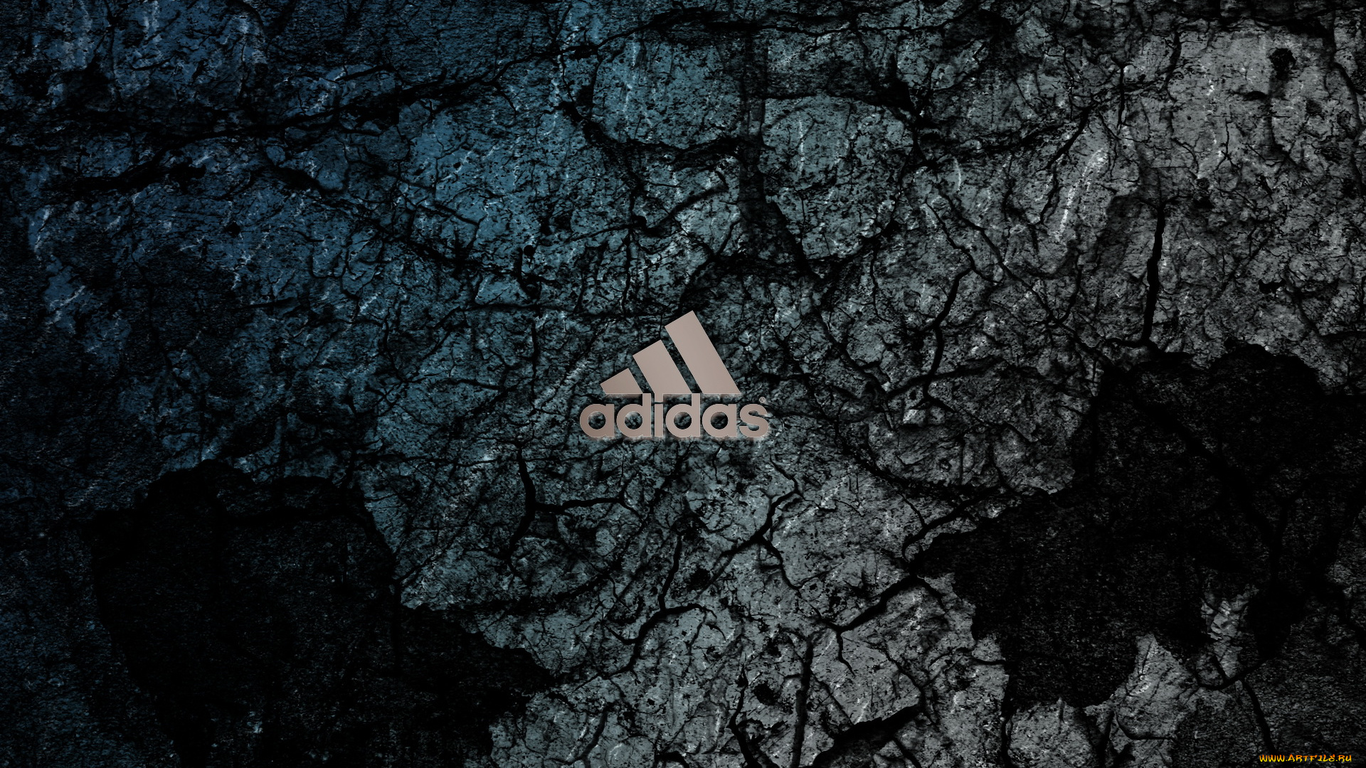 бренды, adidas