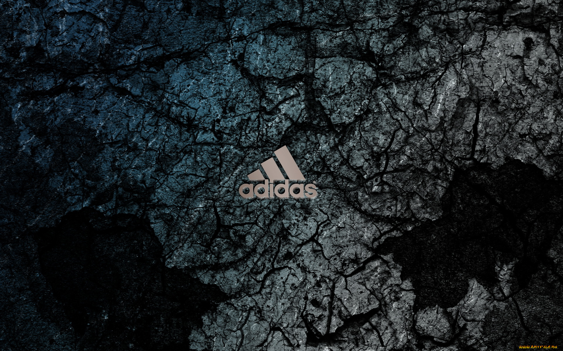 бренды, adidas