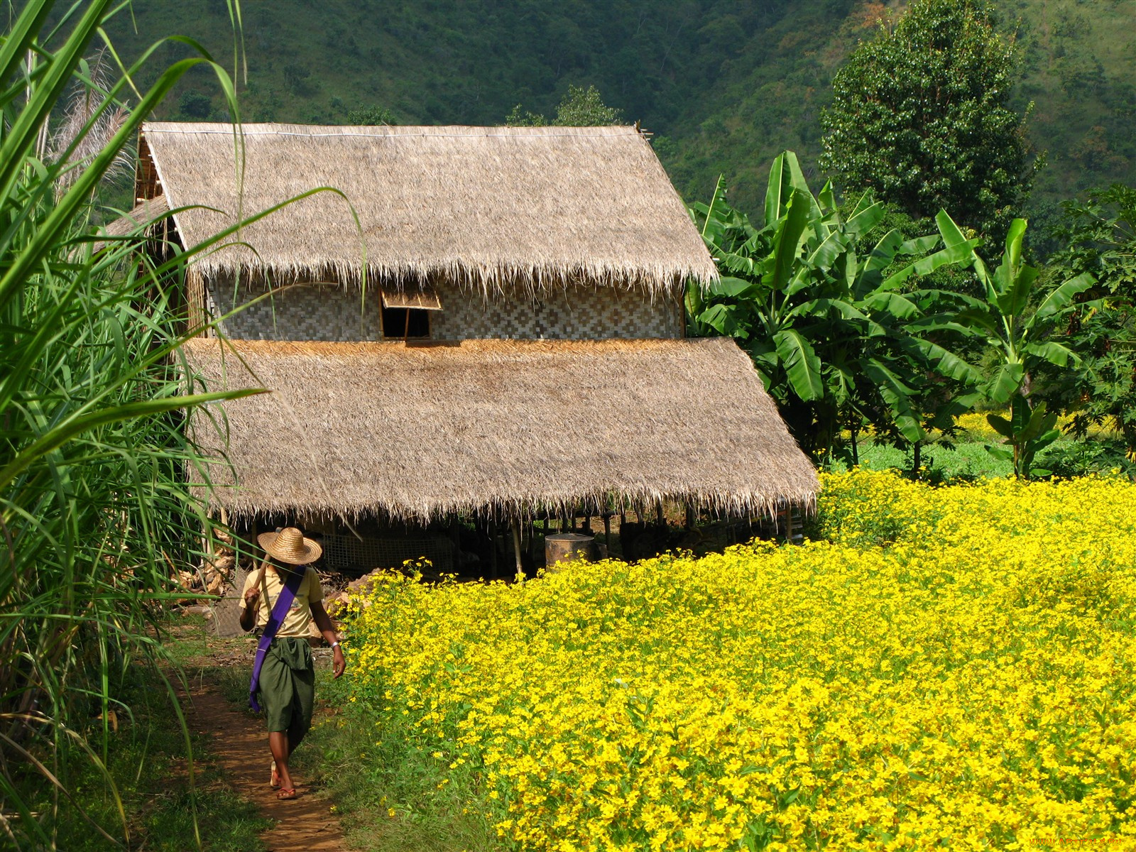 автор, anthony, hewitt, разное, сооружения, постройки, lakeside, farm, inle, lake