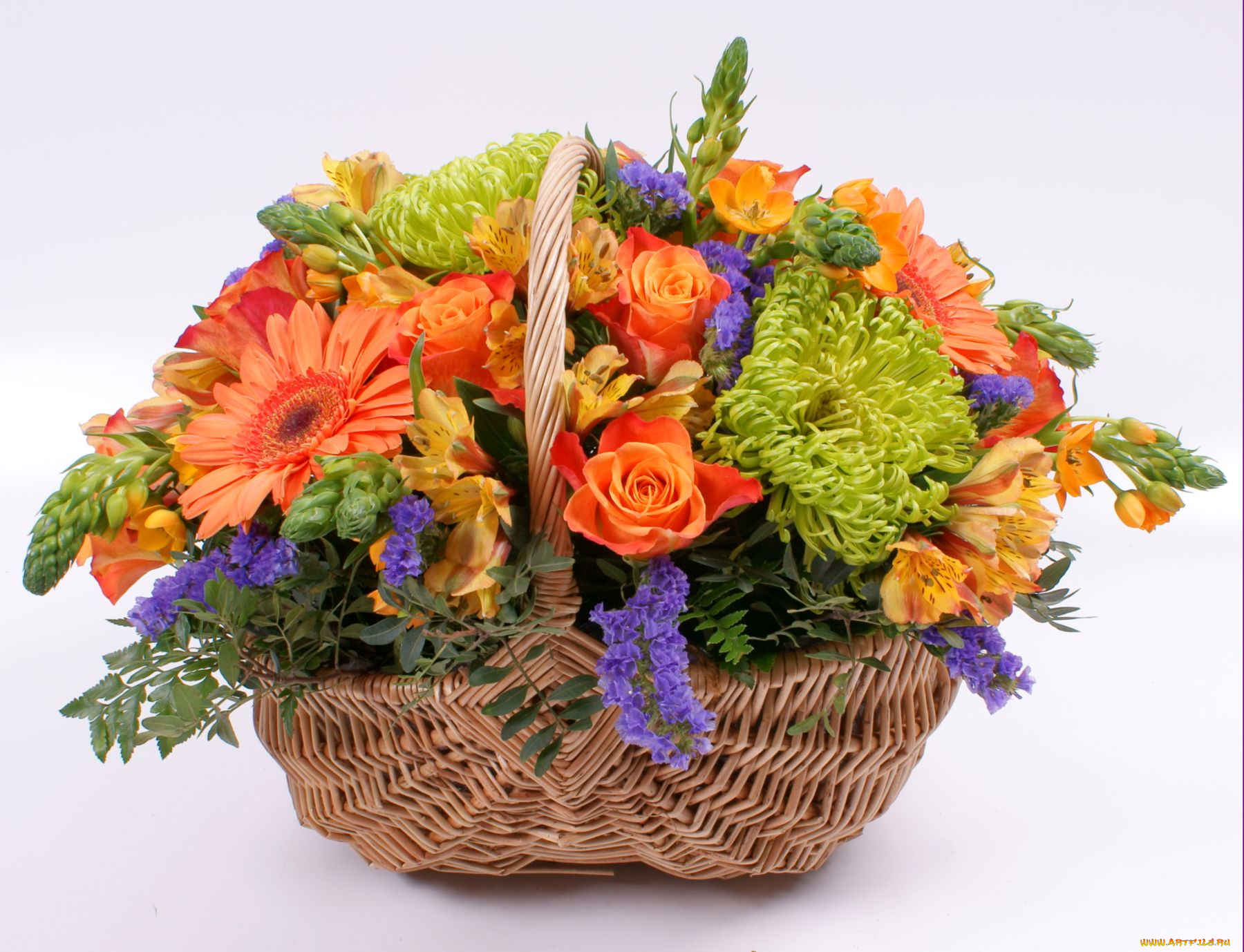 цветы, букеты, композиции, альстромерия, хризантемы, герберы, розы, корзина