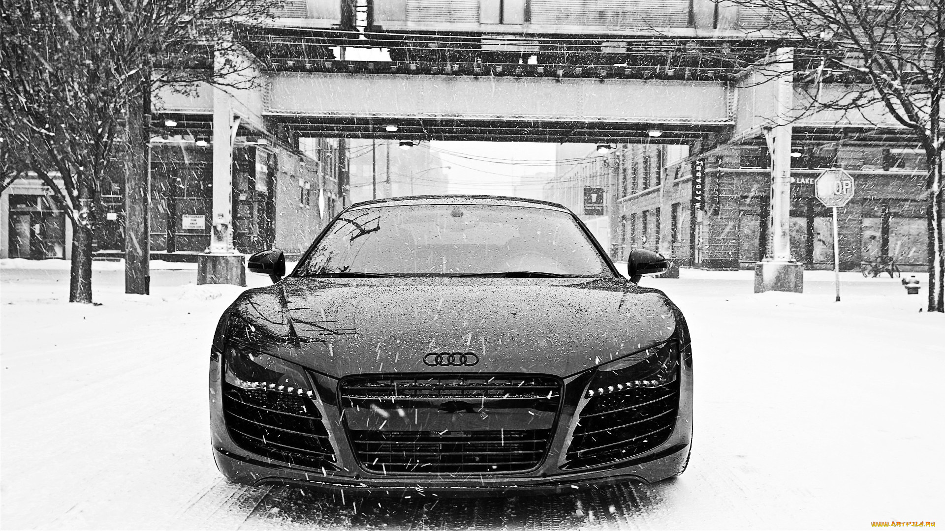 автомобили, audi, r8