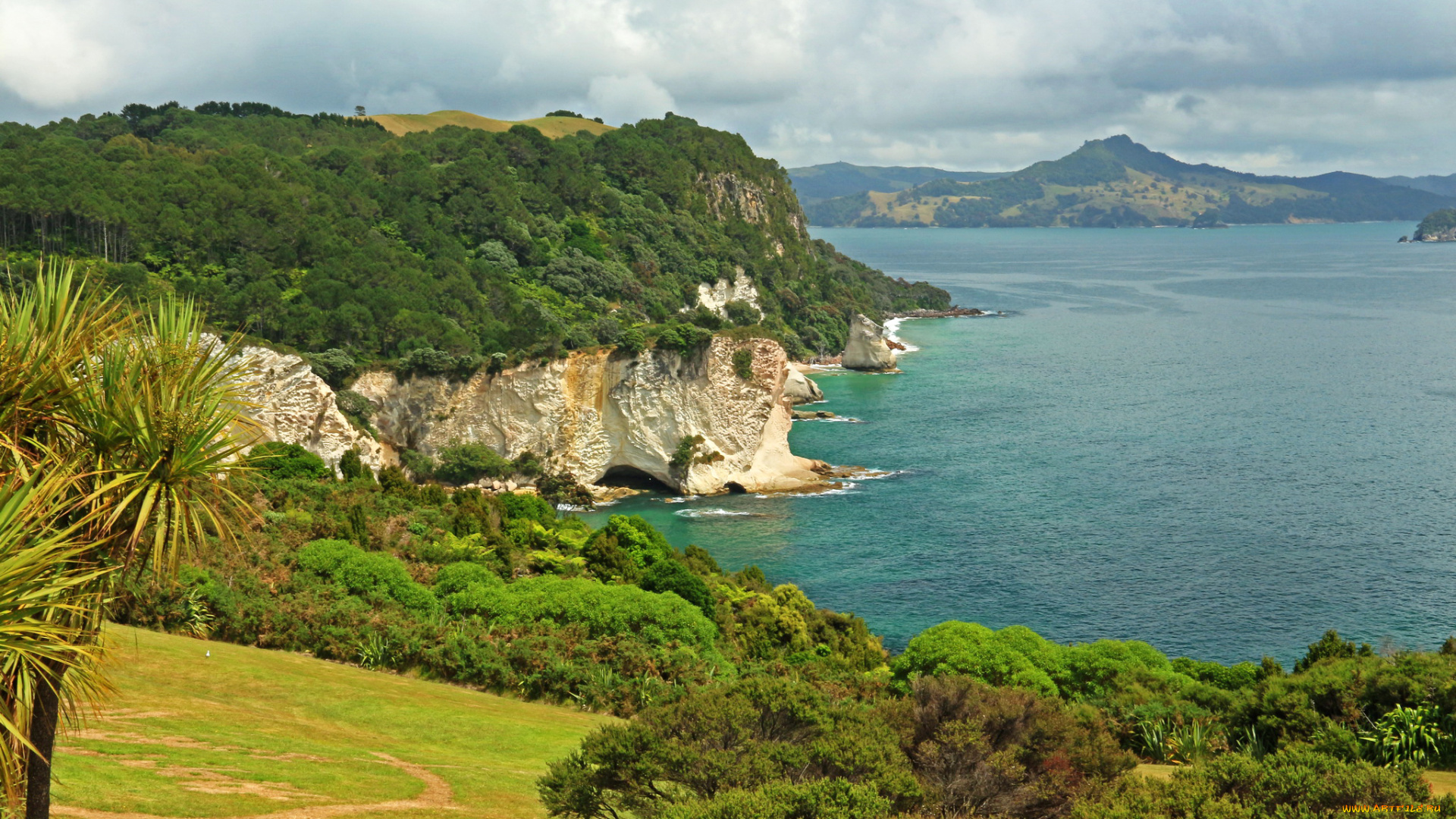 waikato, river, новая, зеландия, природа, побережье, waikato, река, трава