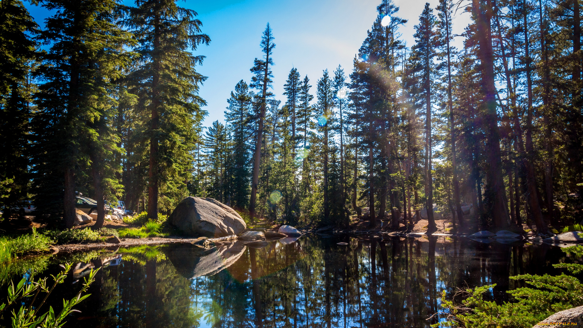 yosemite, national, park, california, природа, реки, озера, yosemite, national, park, парк, озеро, лес