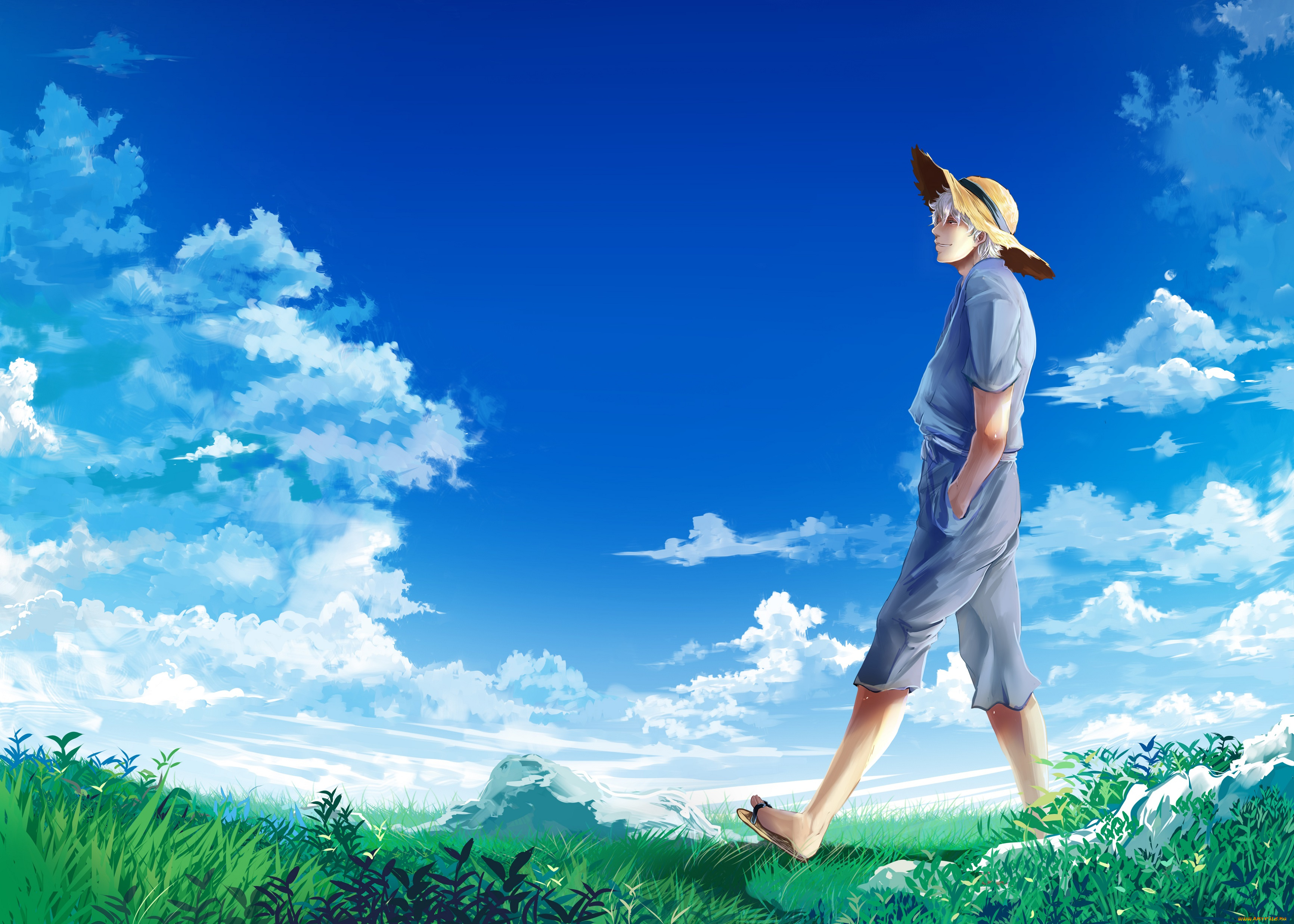 аниме, gintama, равнина, поле, трава, прогулка, синева, облака, шляпа, небо, парень