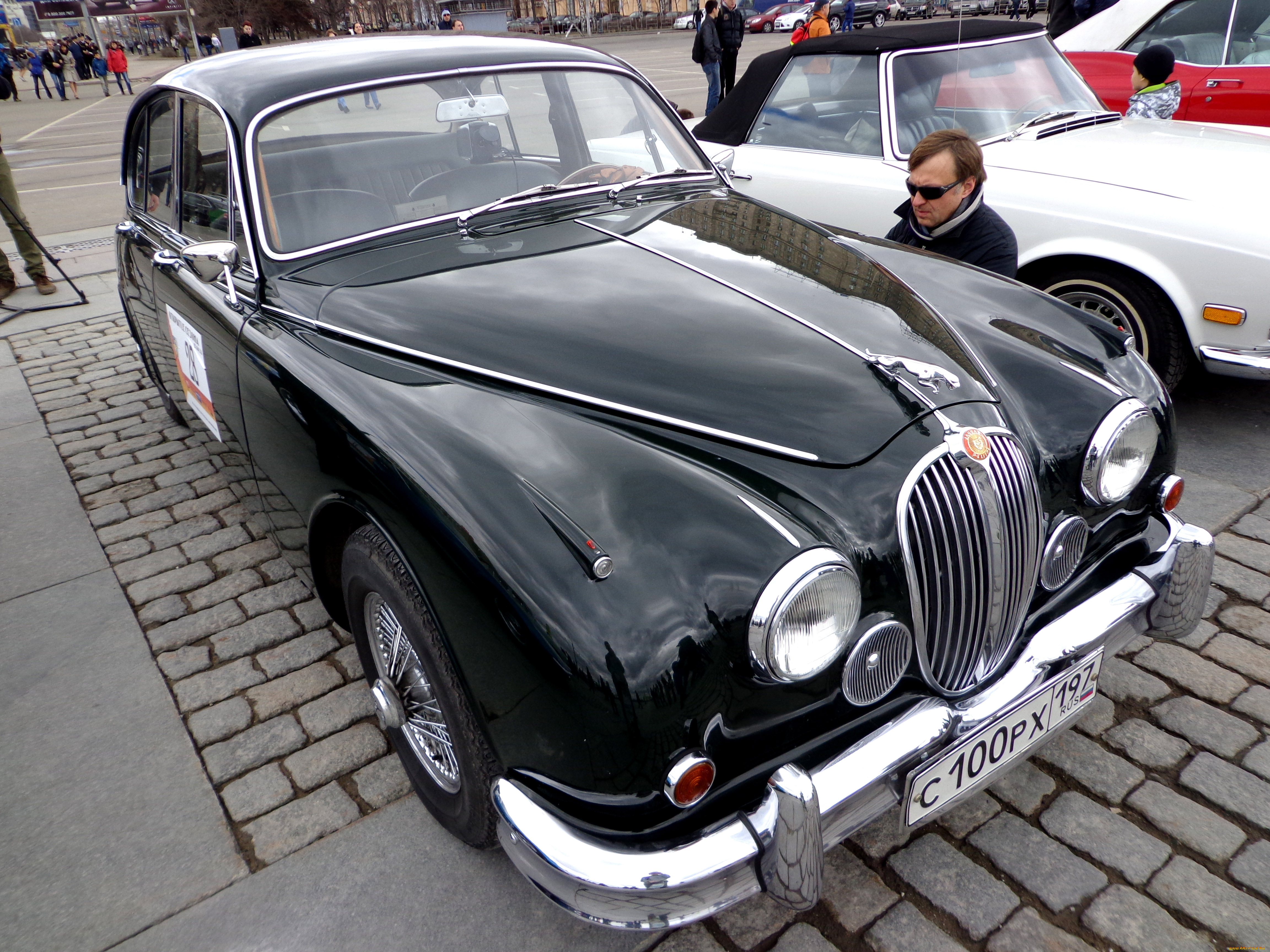 автомобили, выставки, и, уличные, фото, черный, jaguar