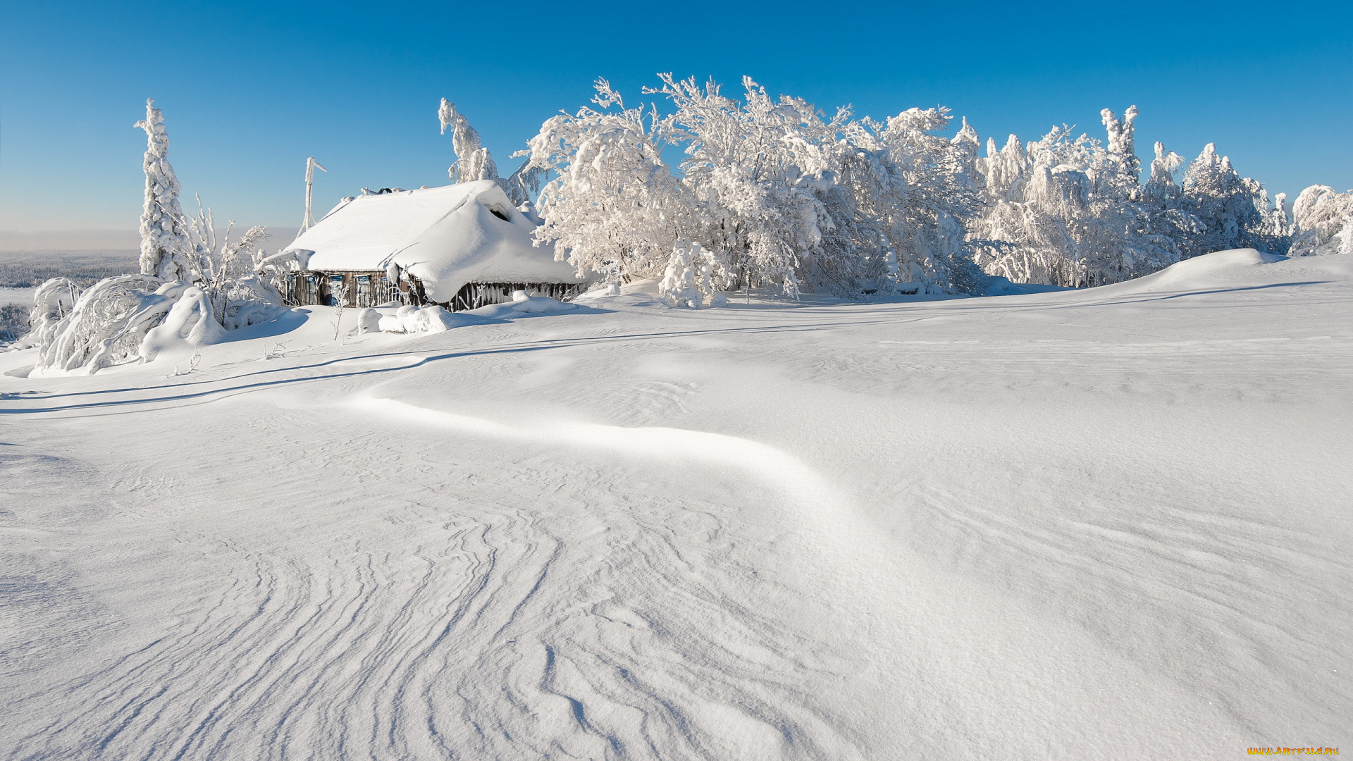 природа, зима, снег, деревья, дом
