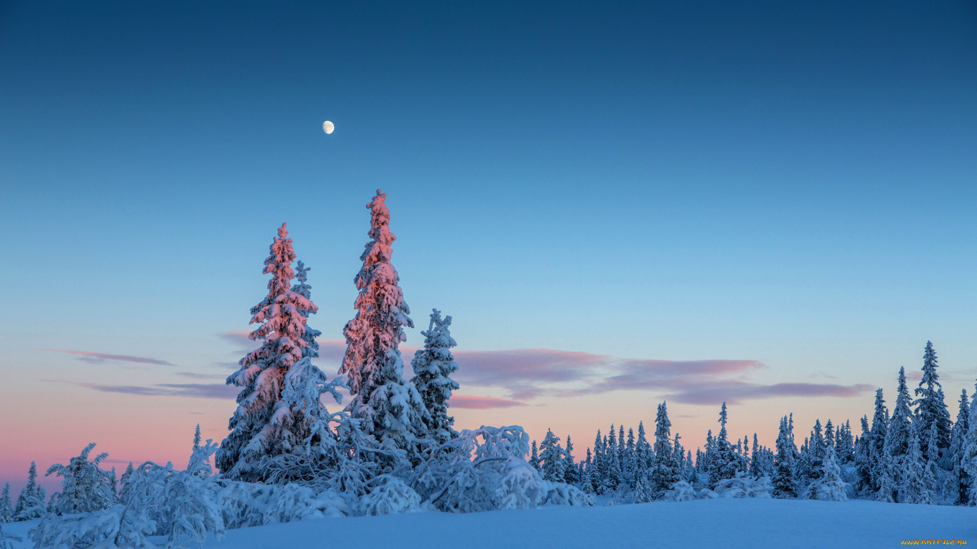 природа, зима, вечер, снег, небо, деревья, луна, лес