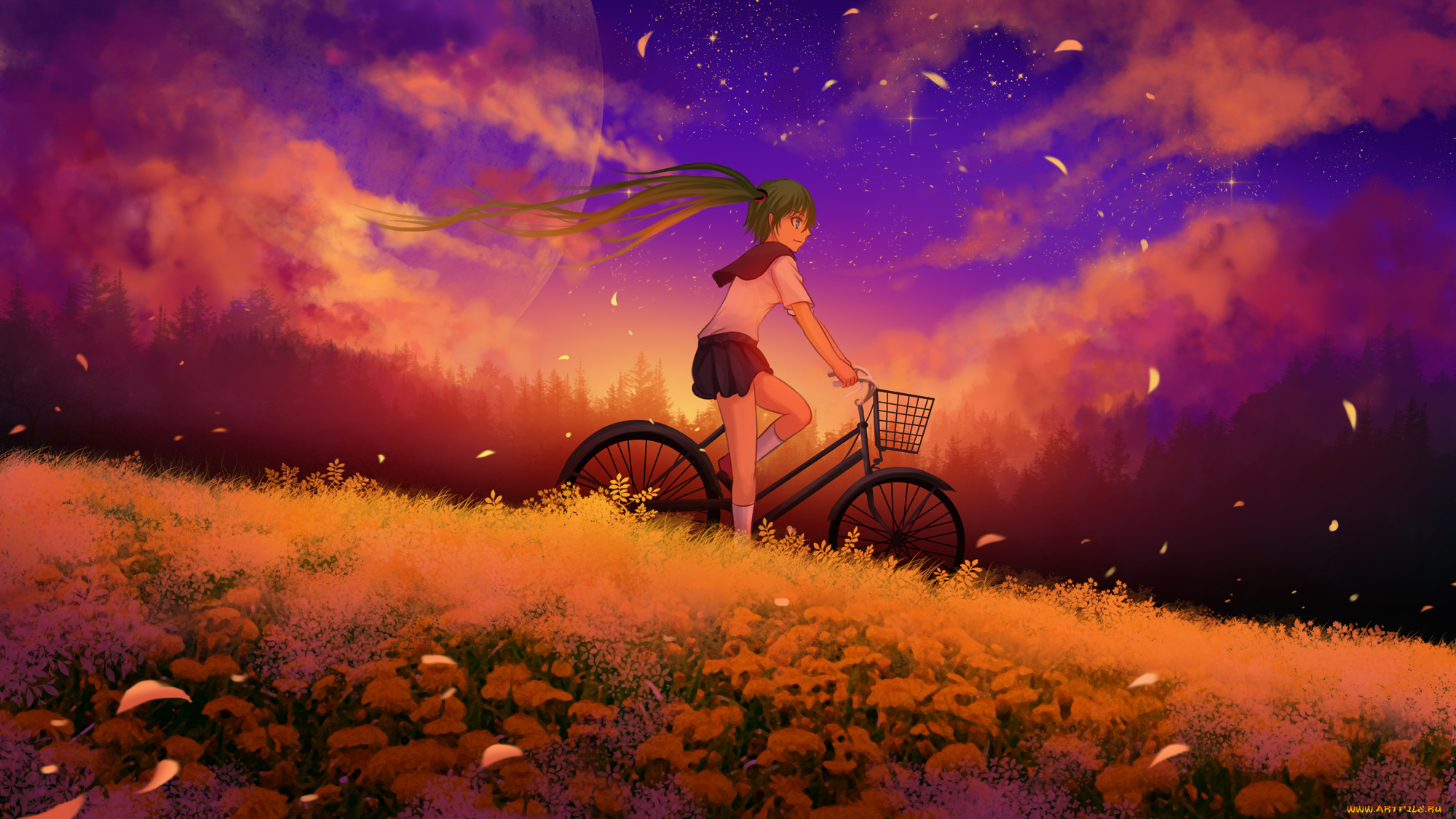 аниме, vocaloid, девушка, арт, велосипед, hatsune, miku, поле, закат