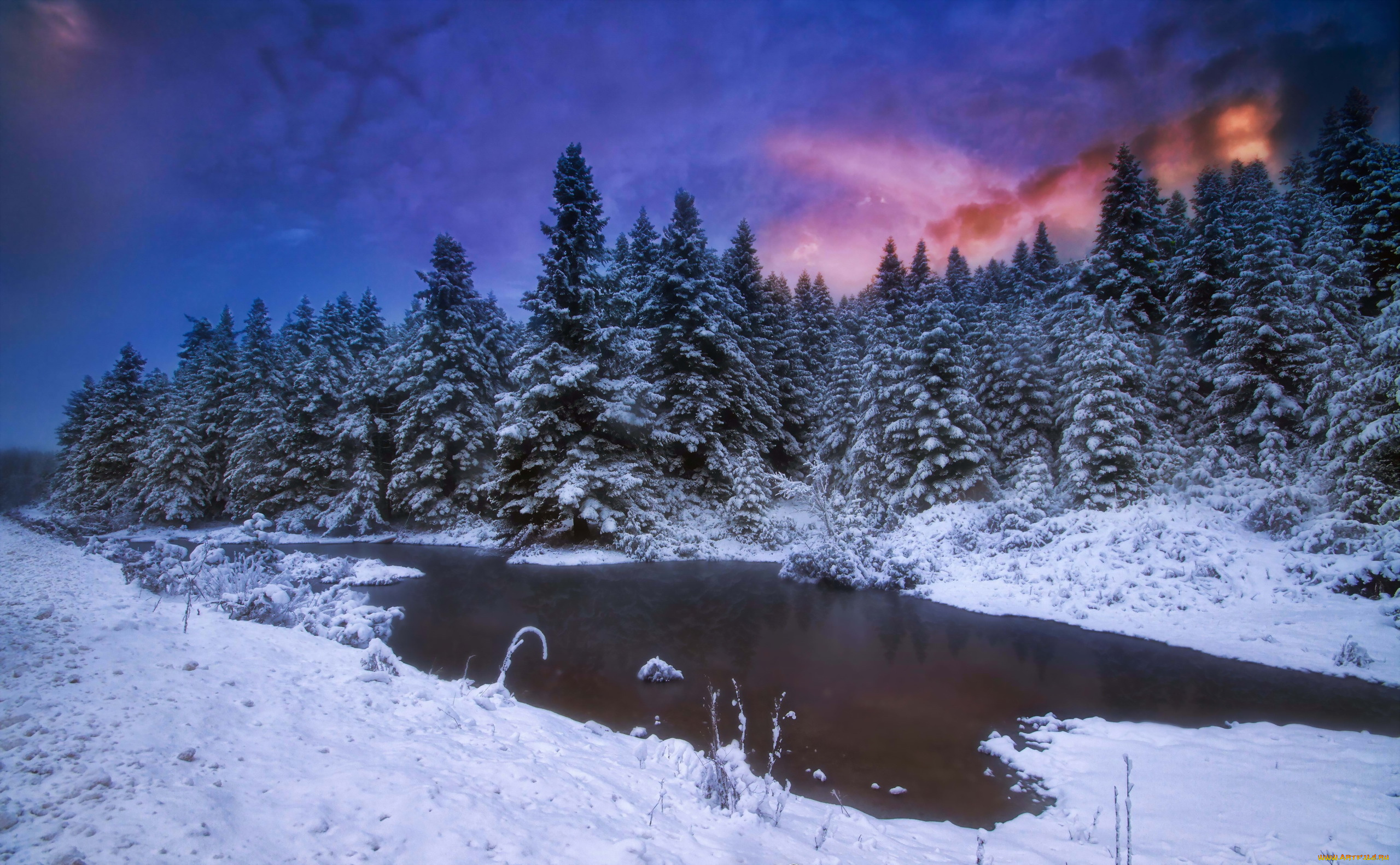 природа, зима, ночь, лес