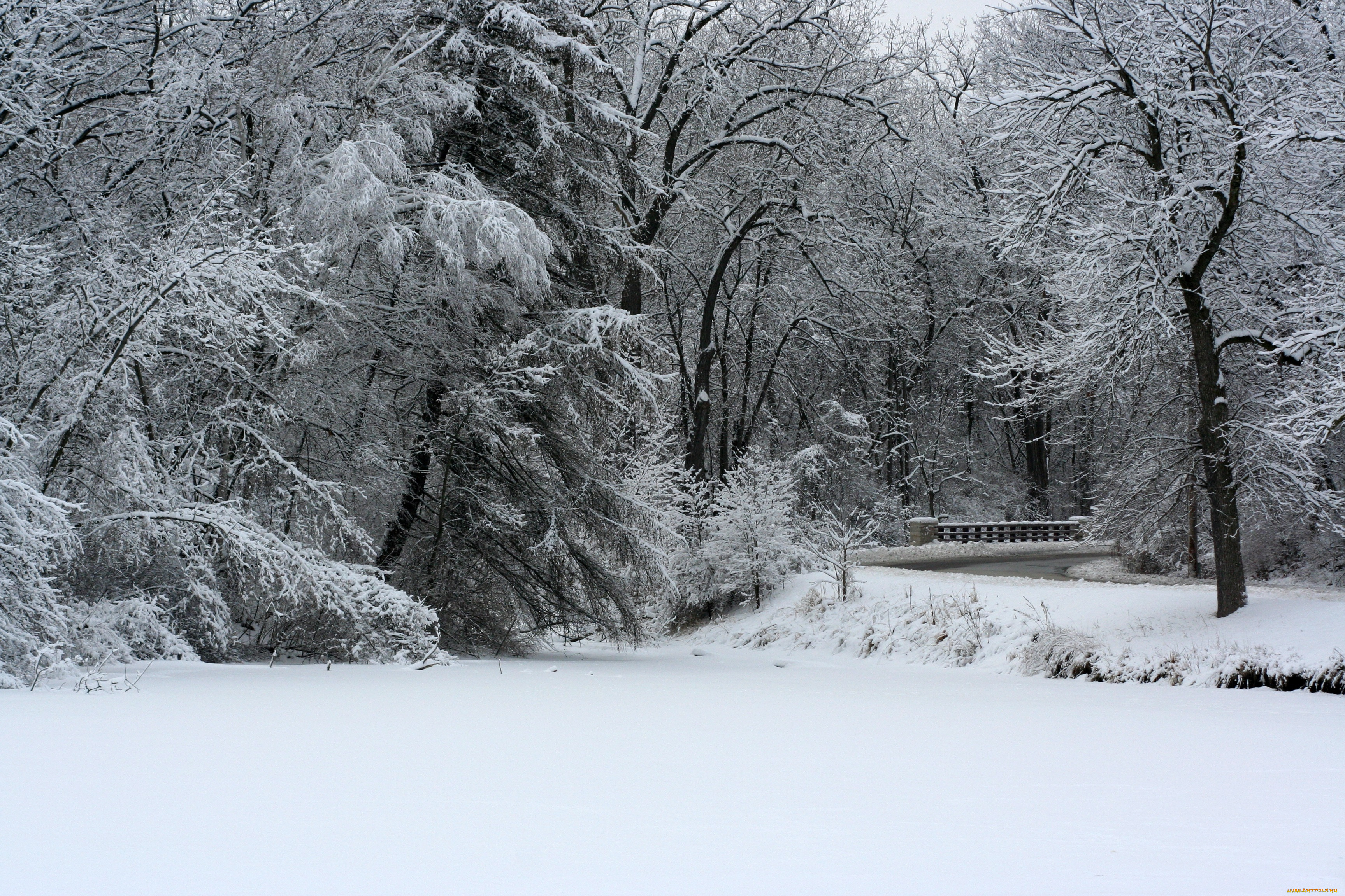 природа, зима, мостик, снег, деревья