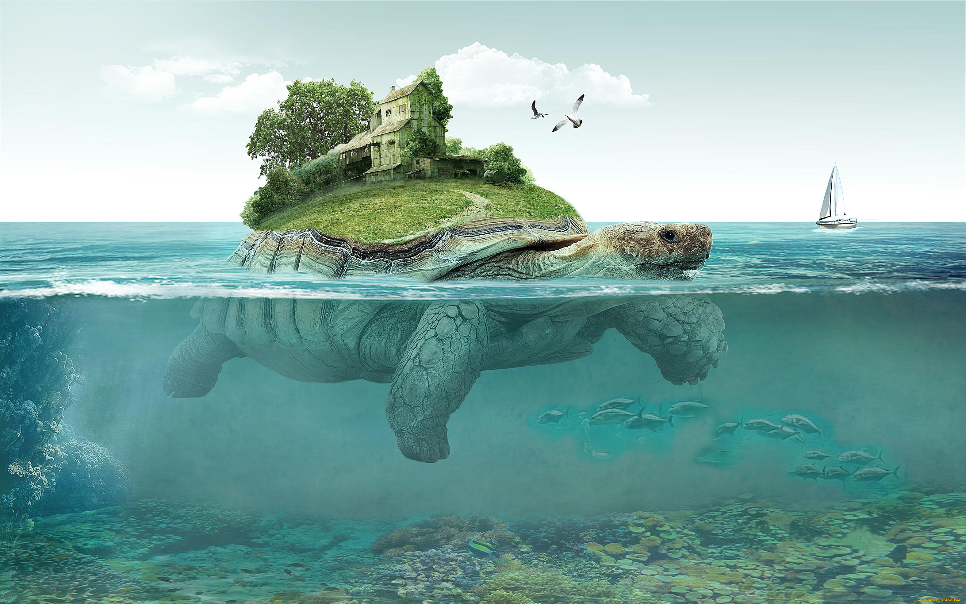 фэнтези, фотоарт, черепаха, монстр, вода, огромная, дом, остров, море, океан, оазис, плывёт