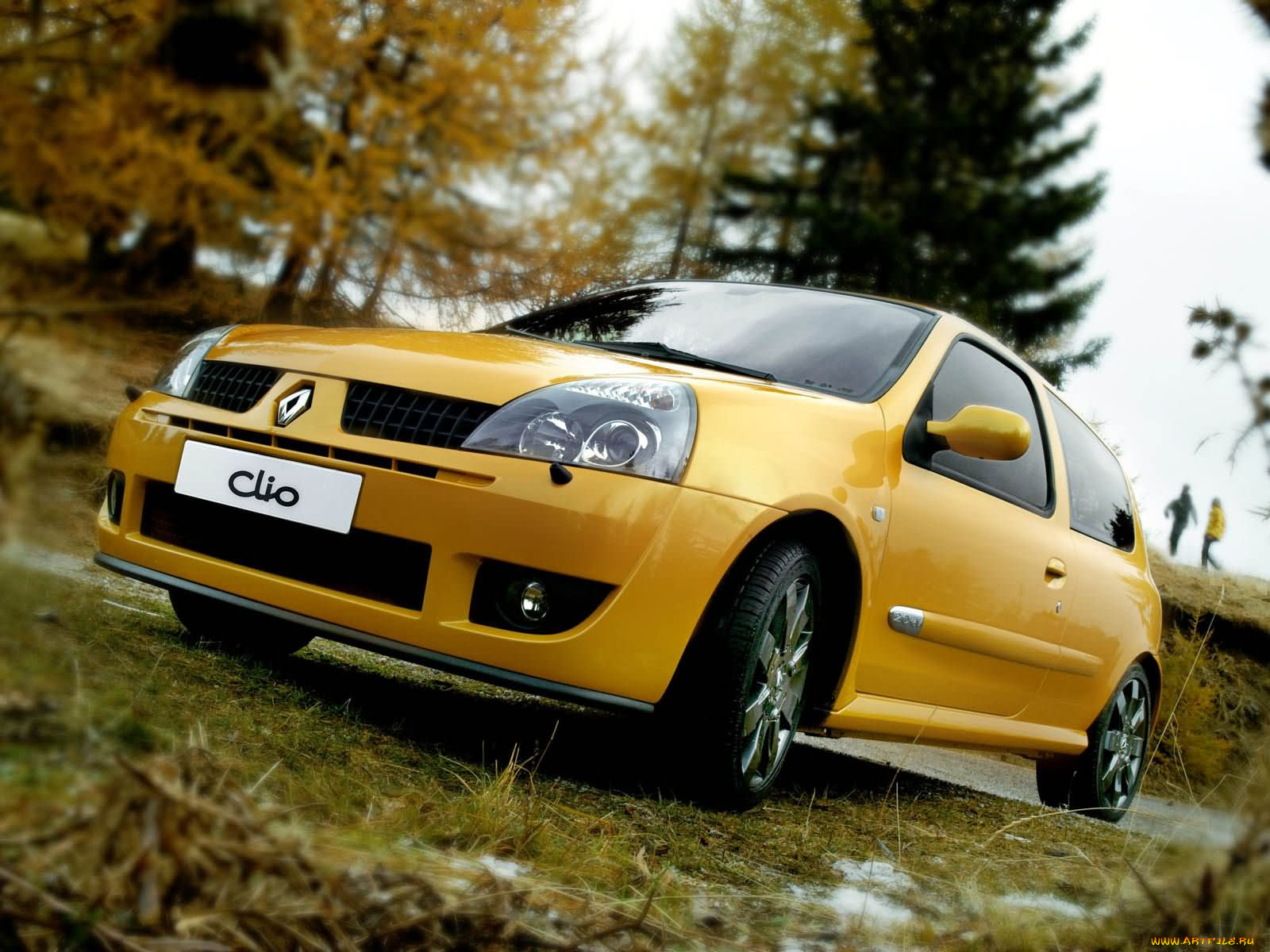 renault, clio, 2004, автомобили