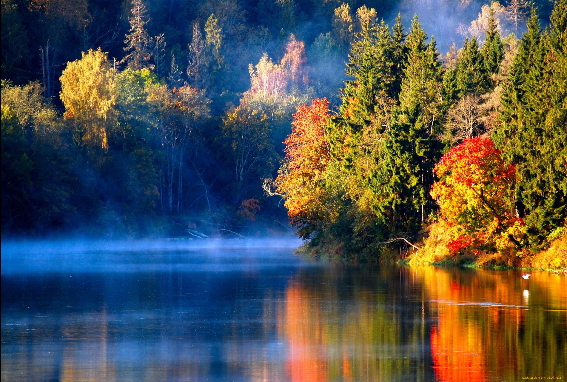 autumn, природа, реки, озера, осень, лес, река