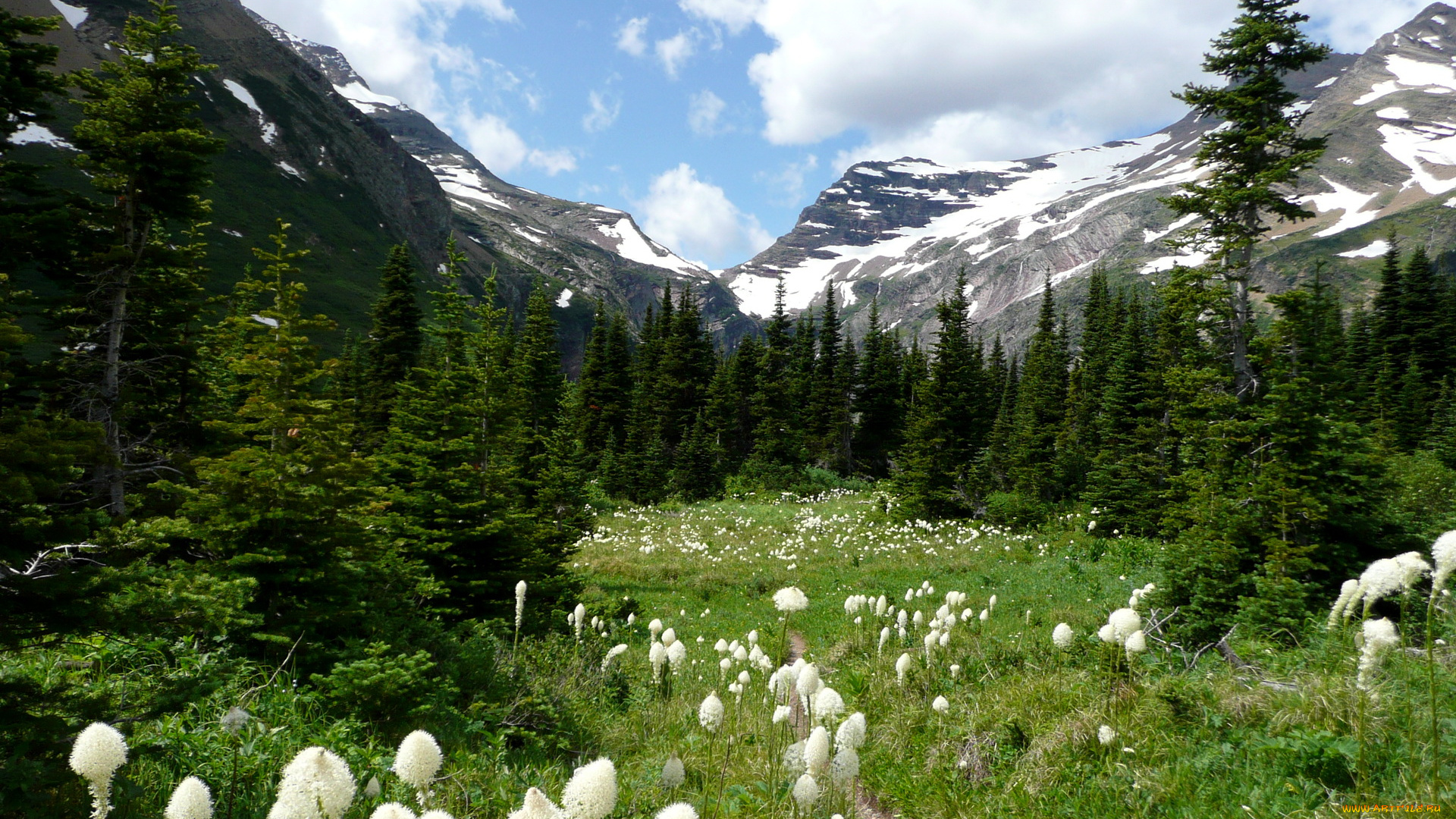 природа, горы, usa, montana, glacier, national, park