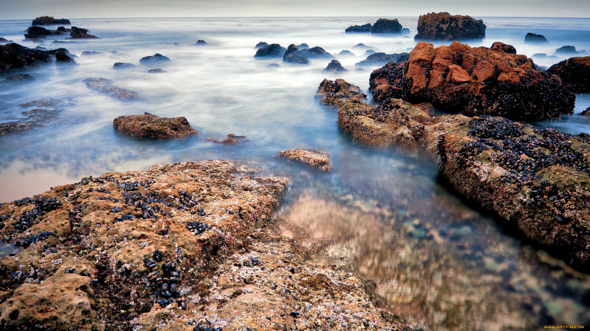 природа, побережье, океан, камни, laguna, beach, california