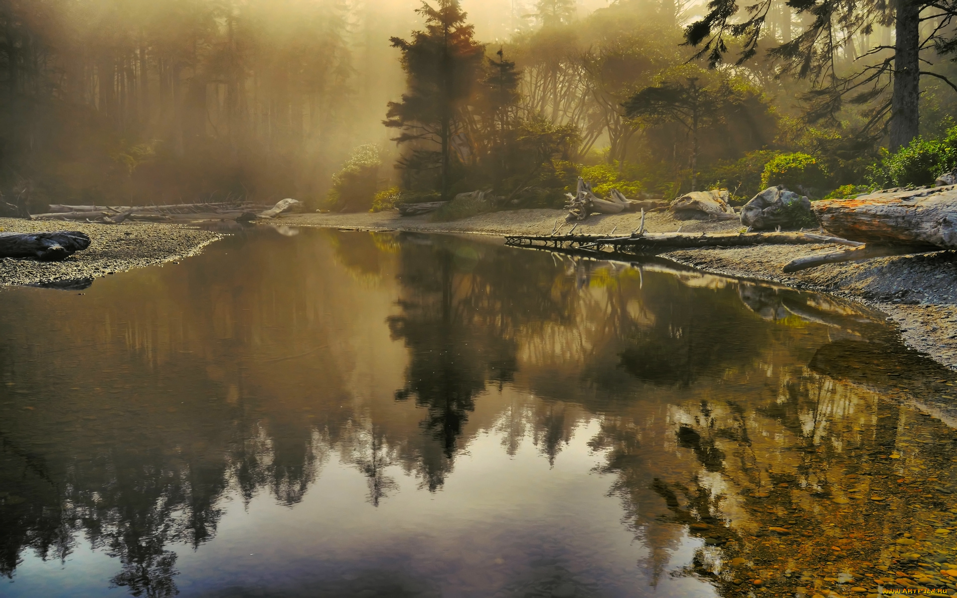 forest, lake, природа, реки, озера, туман, озеро, лес