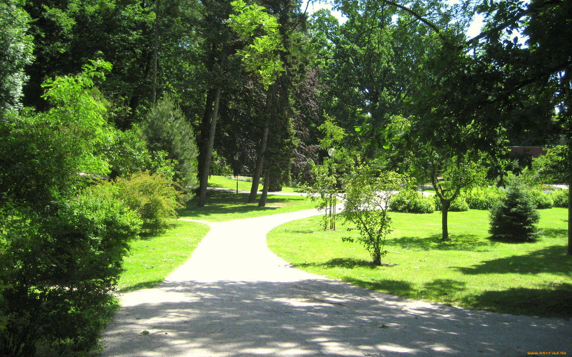 природа, парк, кусты, деревья, дорожки