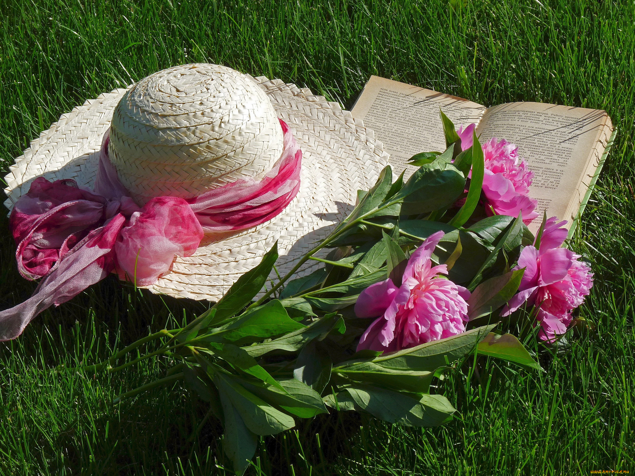 цветы, пионы, шляпка, книга