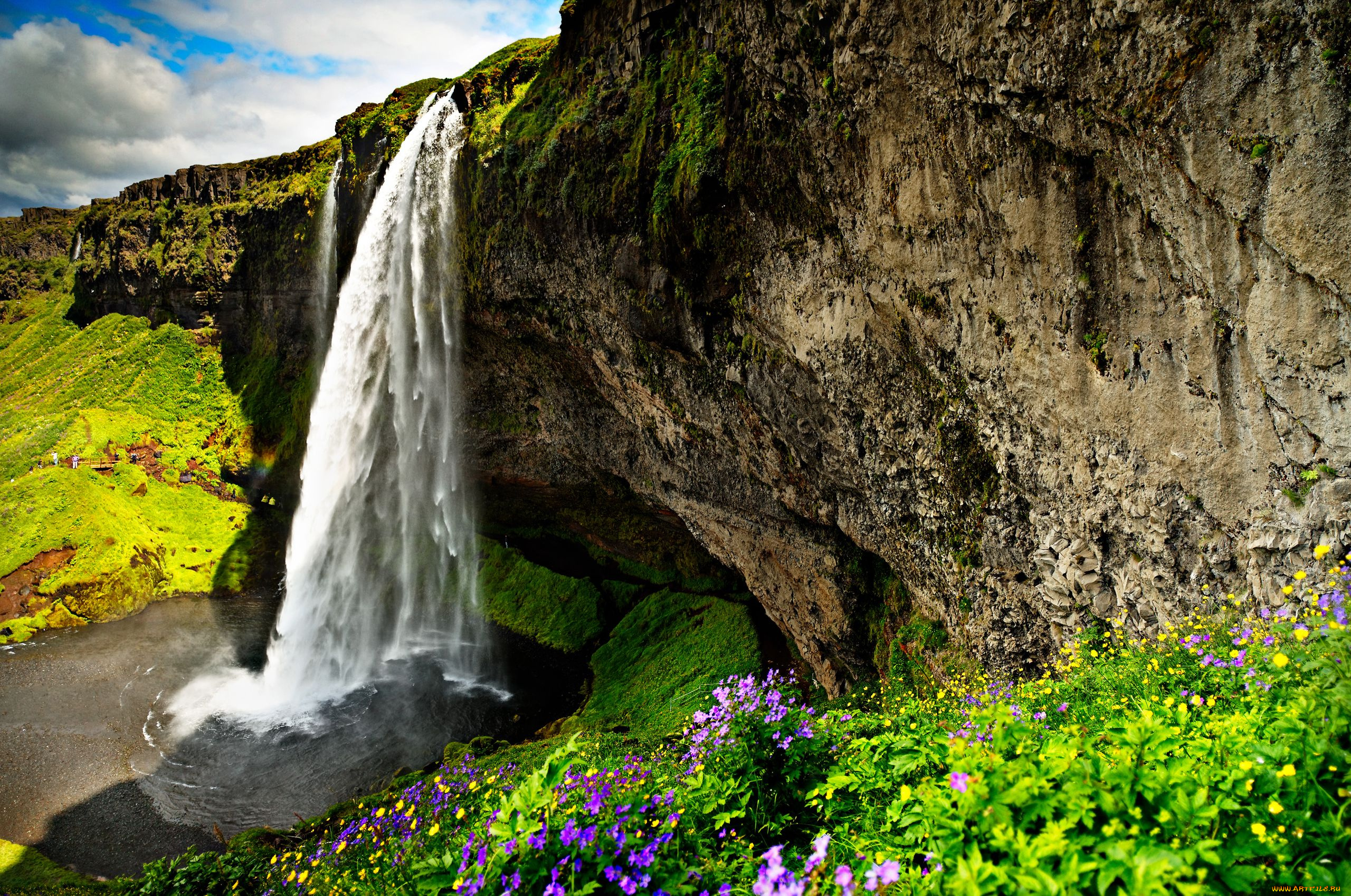 природа, водопады, цветы, скала