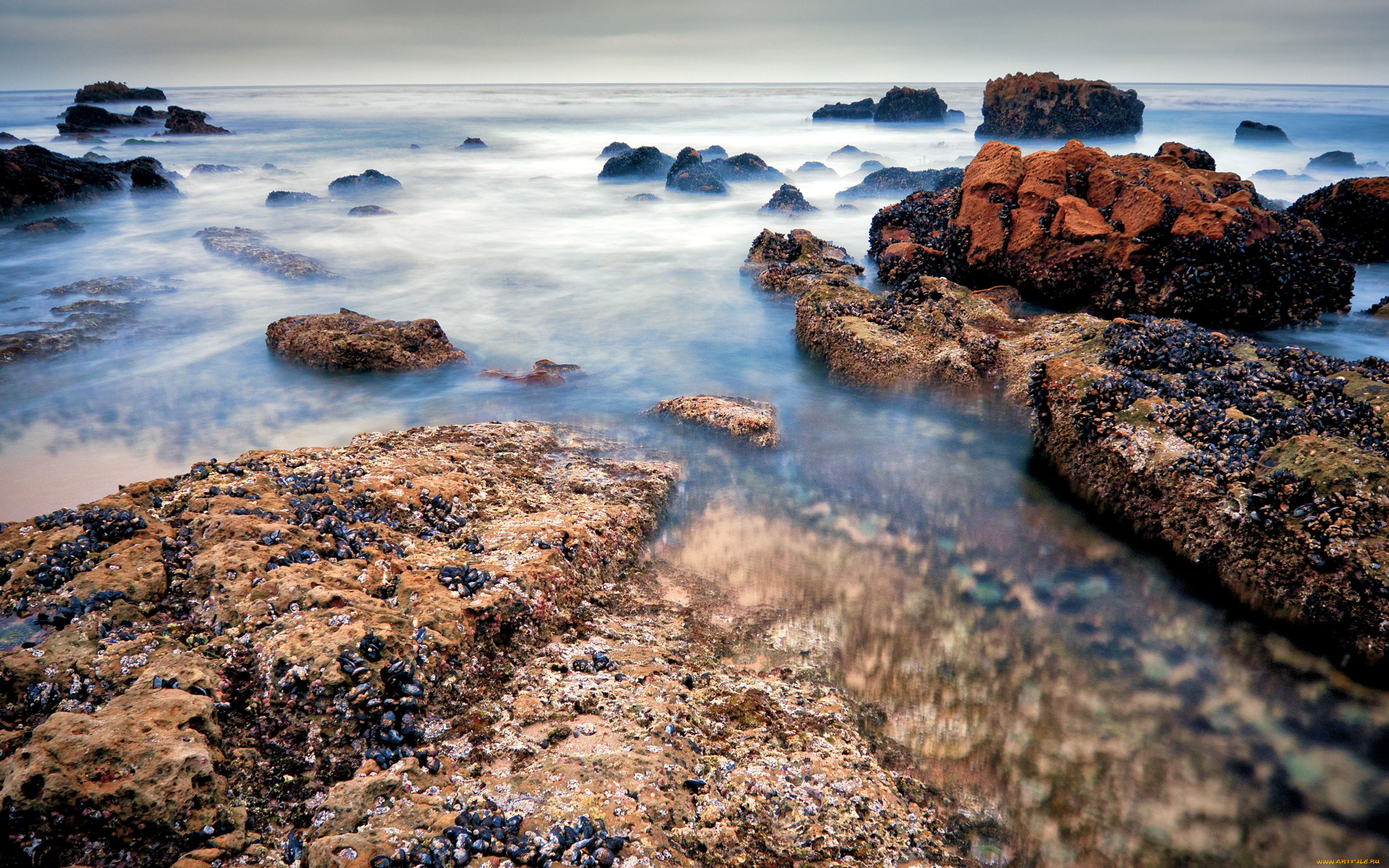 природа, побережье, океан, камни, laguna, beach, california