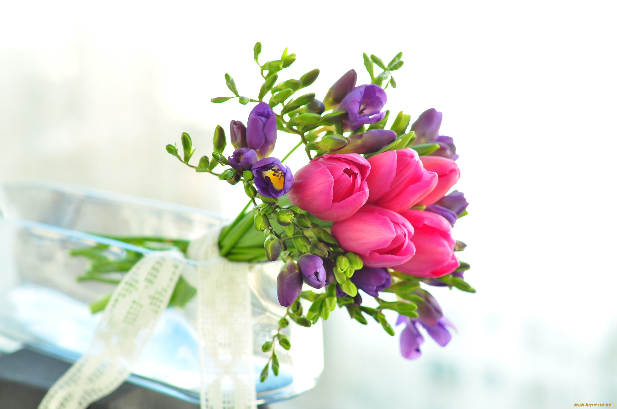 цветы, букеты, композиции, тюльпаны, фрезия