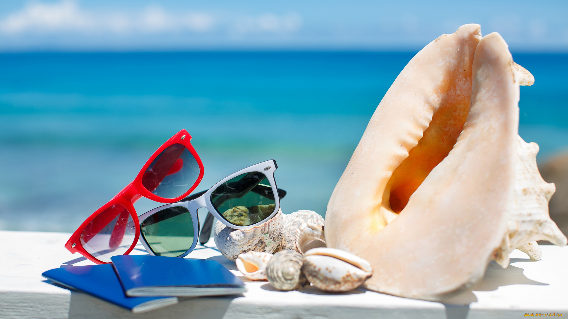 разное, ракушки, , кораллы, , декоративные, и, spa-камни, sea, blue, sky, shells, sun, glasses, summer, vacation, beach, accessories