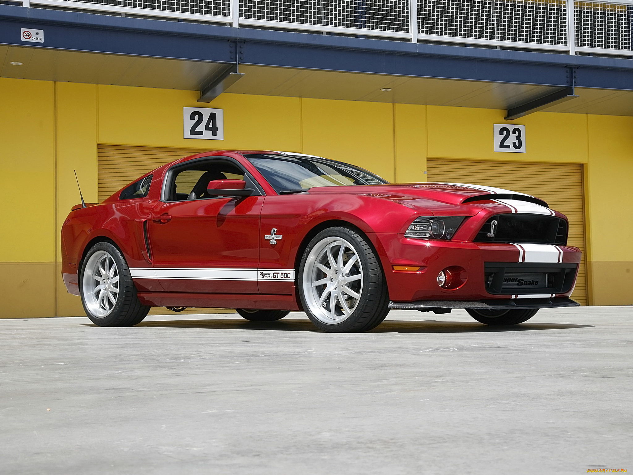 Shelby gt500 super snake 2013