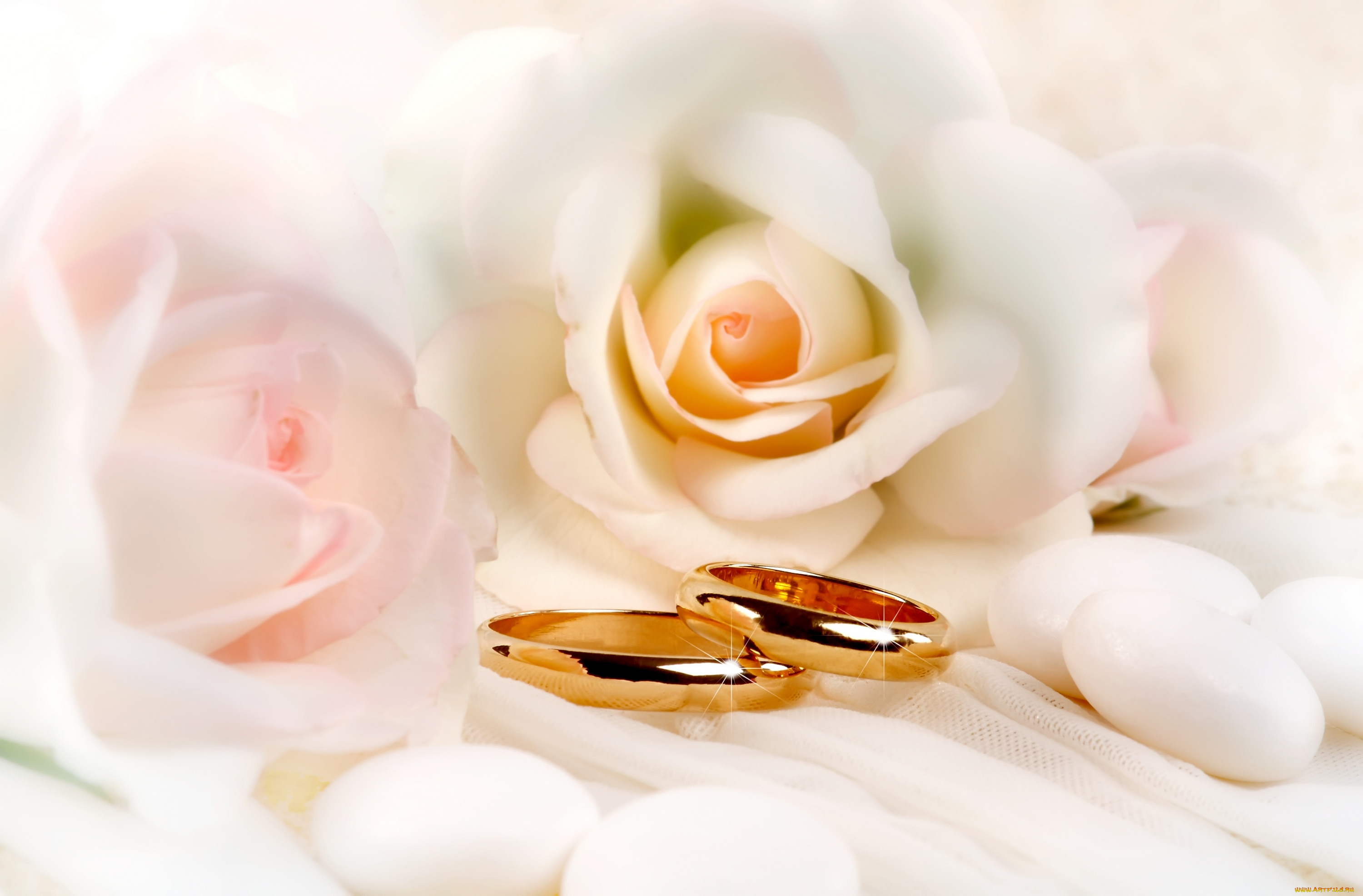 Ко Дню свадьбы розы кольца жемчуг и слова