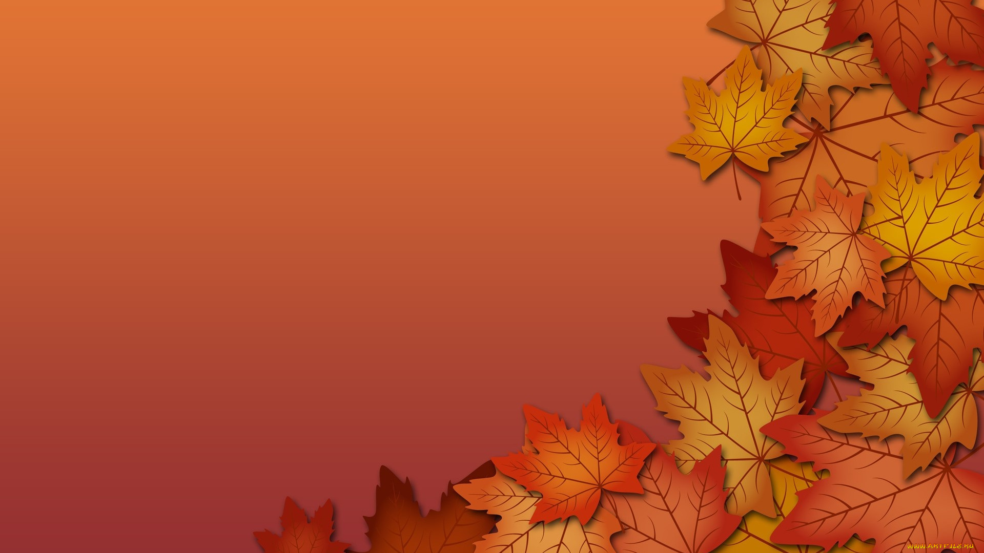 векторная, графика, природа, , nature, листья, осень, фон