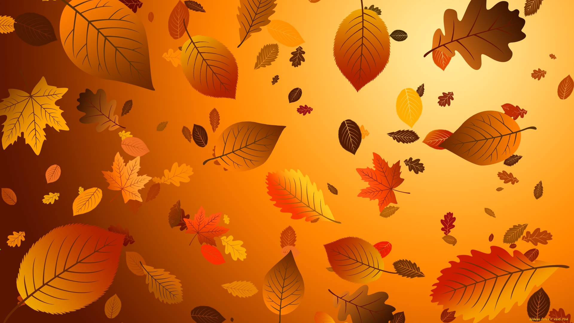 векторная, графика, природа, , nature, листья, фон, осень