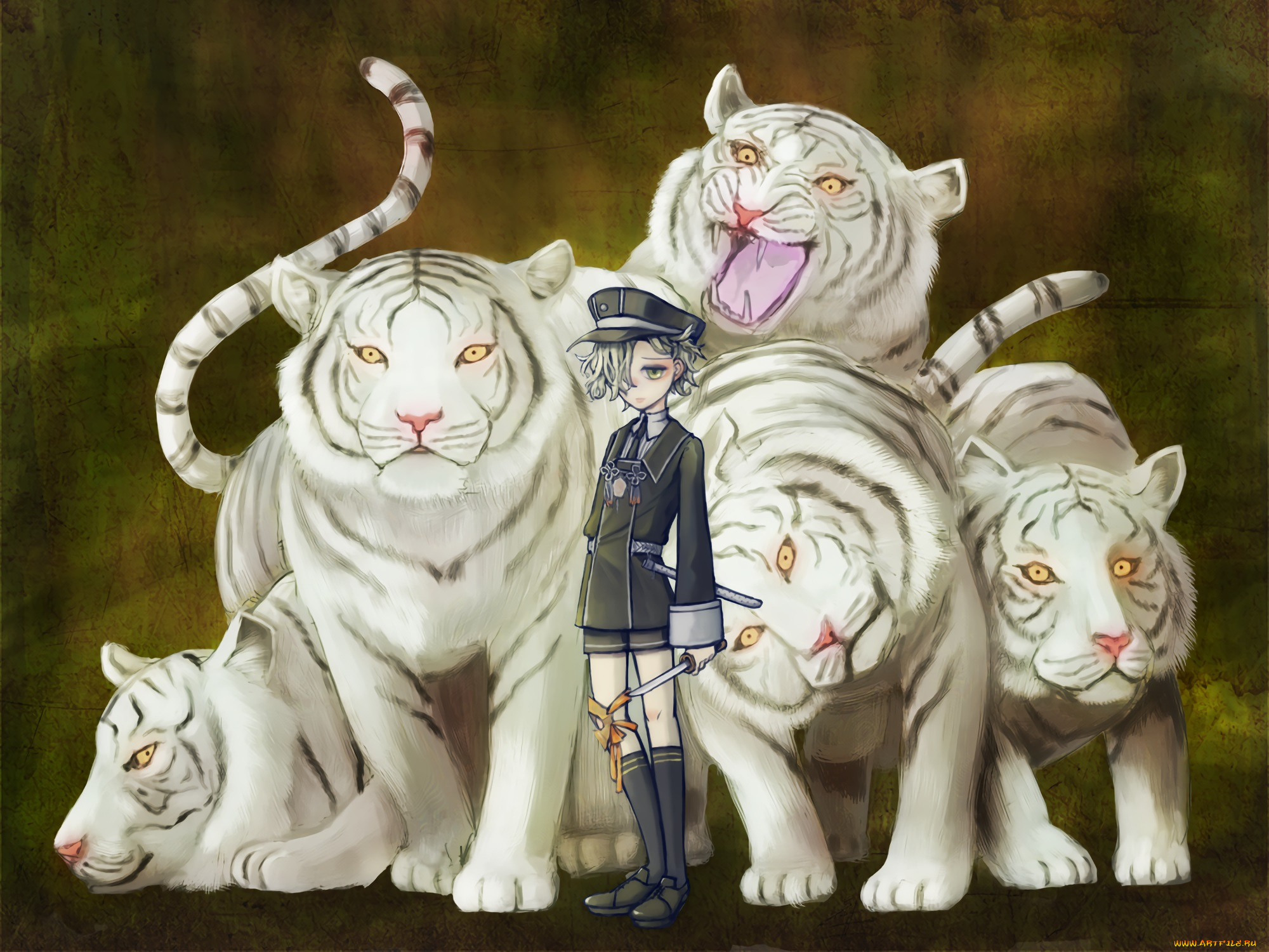 аниме, touken, ranbu, touken, ranbu, белые, тигры, мальчик, gokotai