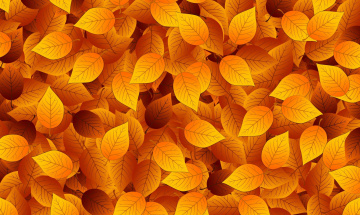 Картинка векторная+графика природа+ nature осень листья фон