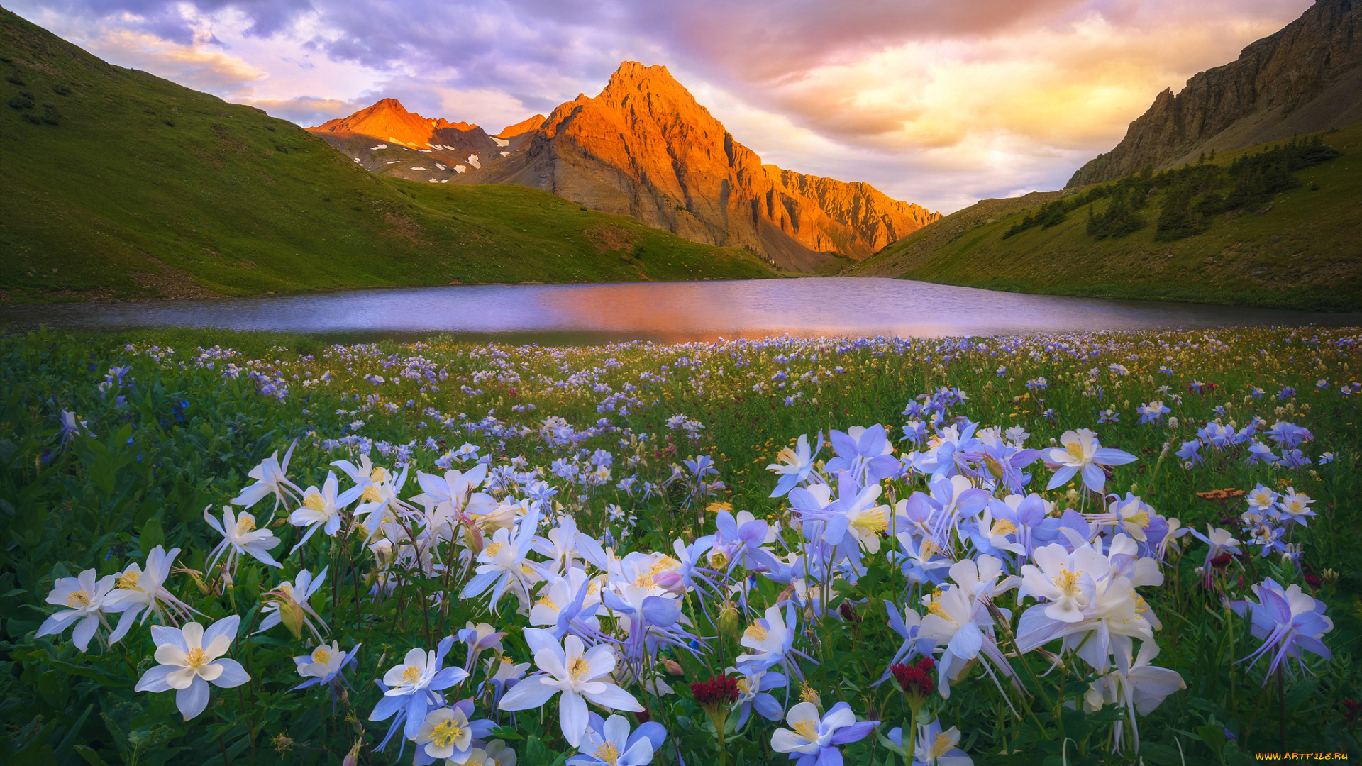 природа, пейзажи, цветы, озеро, горы