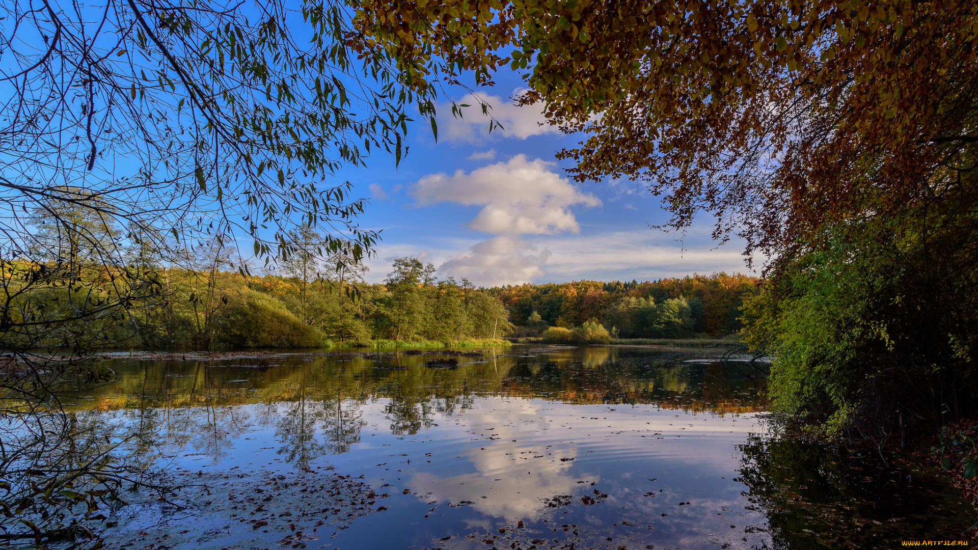 природа, реки, озера, река, лес