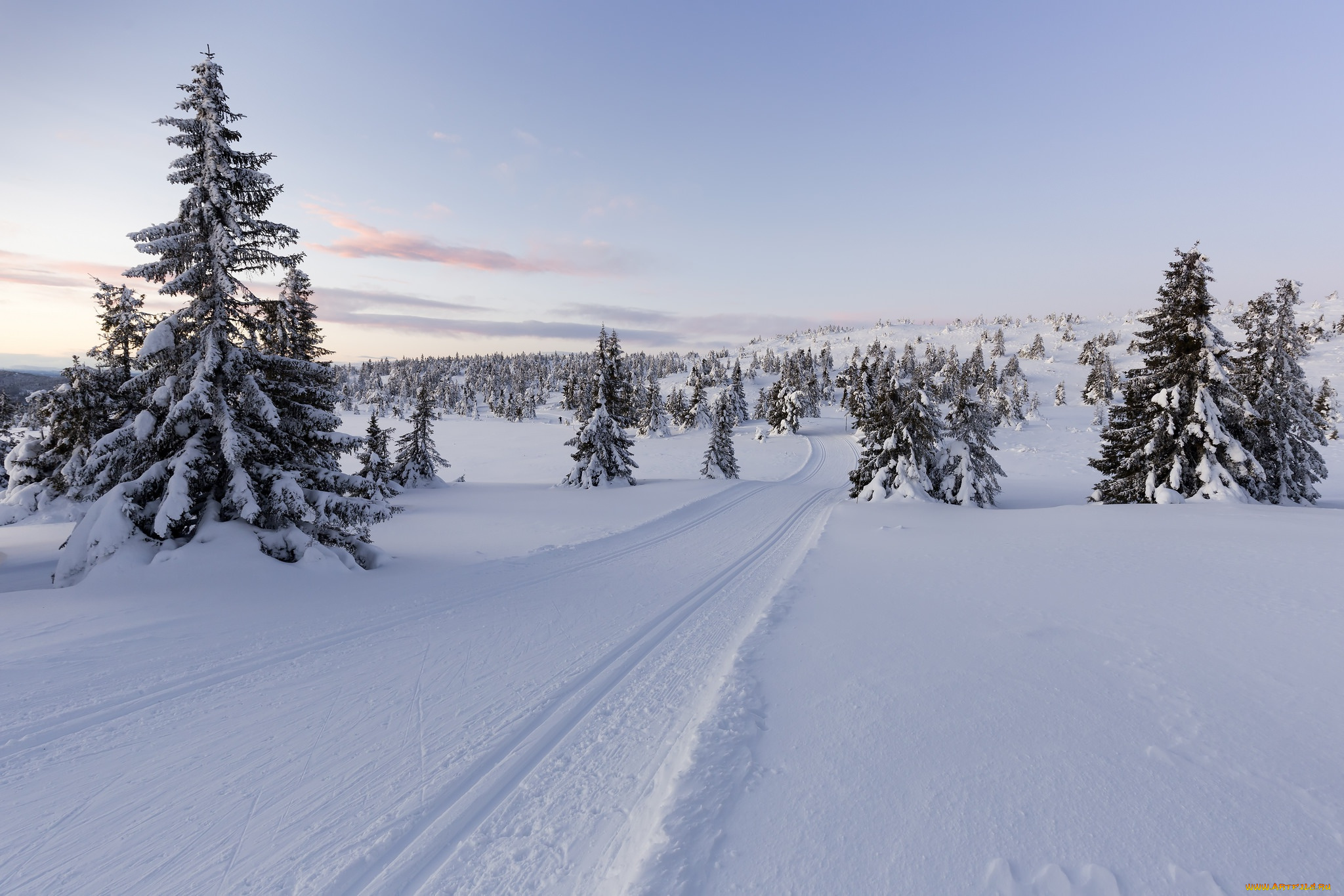 природа, зима, norway, норвегия, снег, lillehammer, деревья