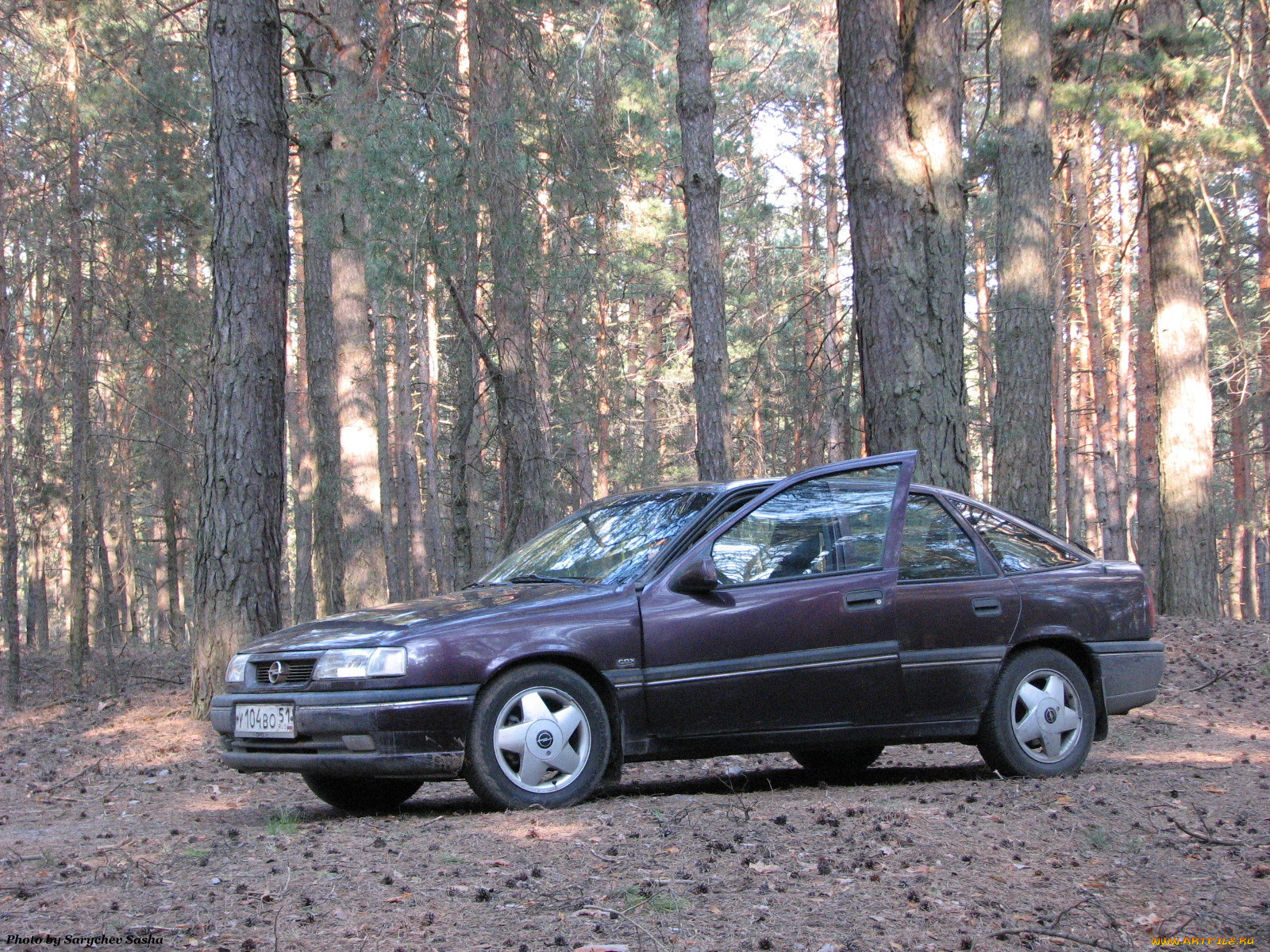 ласточка, автомобили, opel