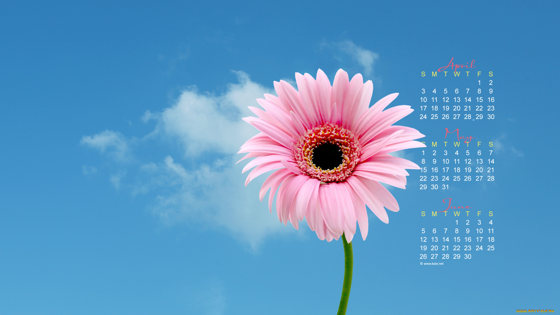 календари, цветы