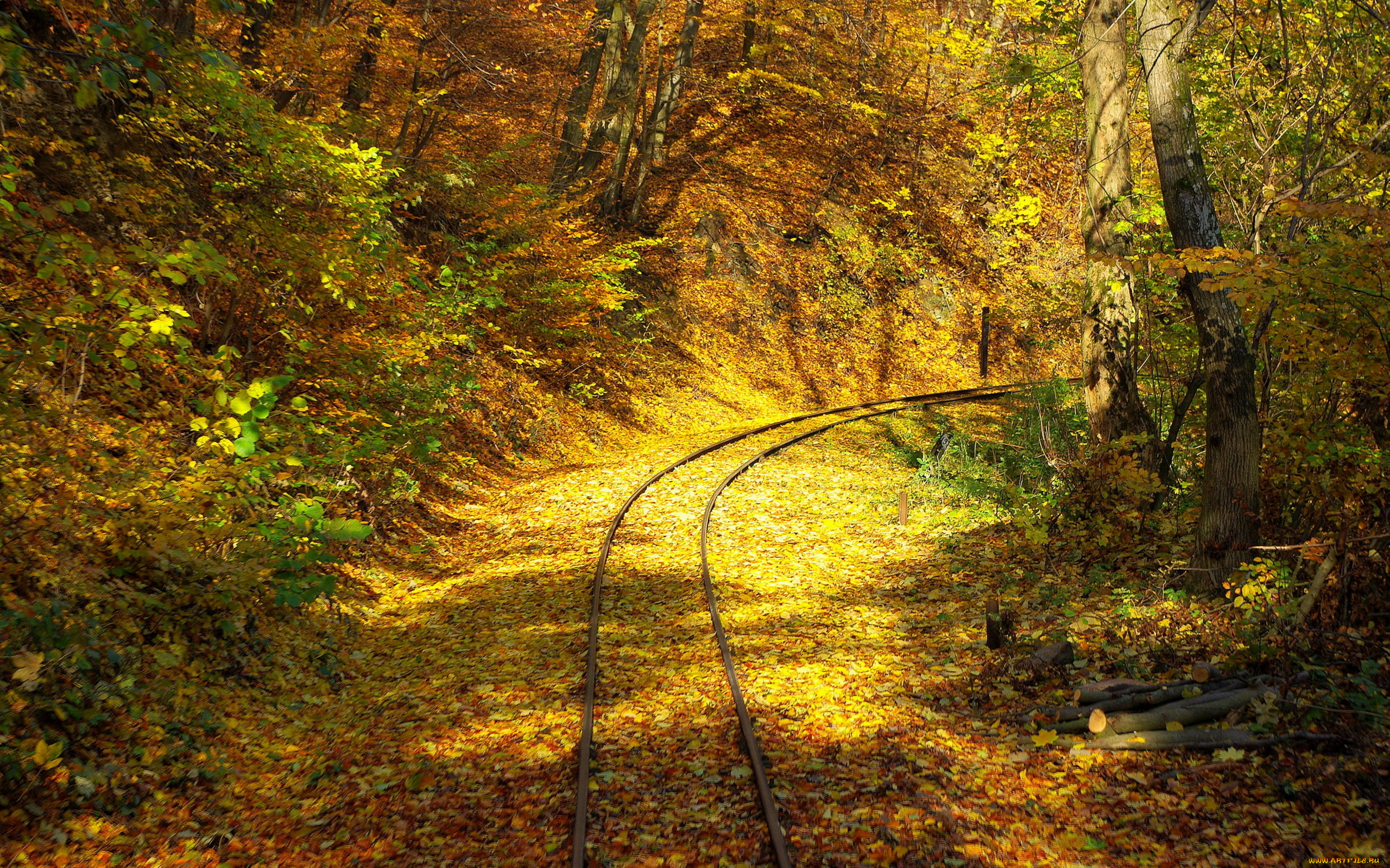 природа, дороги, дорога, листья, осень