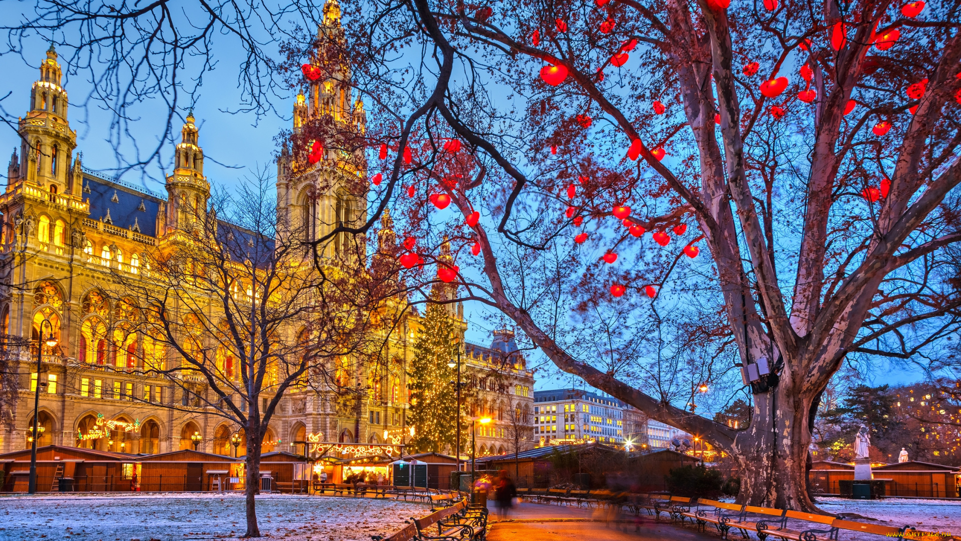 vienna, , austria, города, вена, , австрия, austria, rathaus, city, hall, вена, венская, ратуша, парк, деревья, фонарики, ёлка, скамейки, праздник