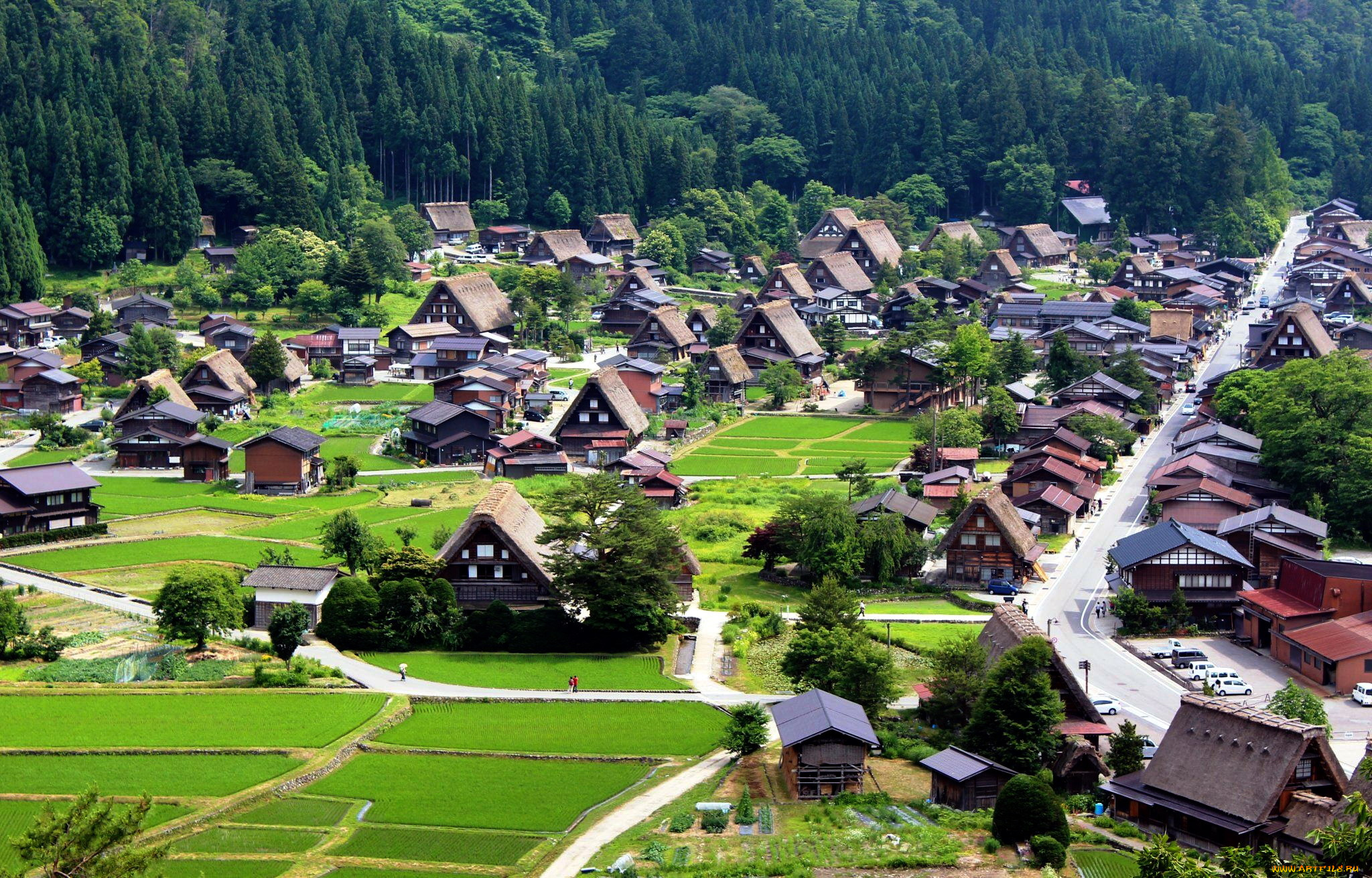 shirakawa, village, города, -, пейзажи, Япония, панорама, лето