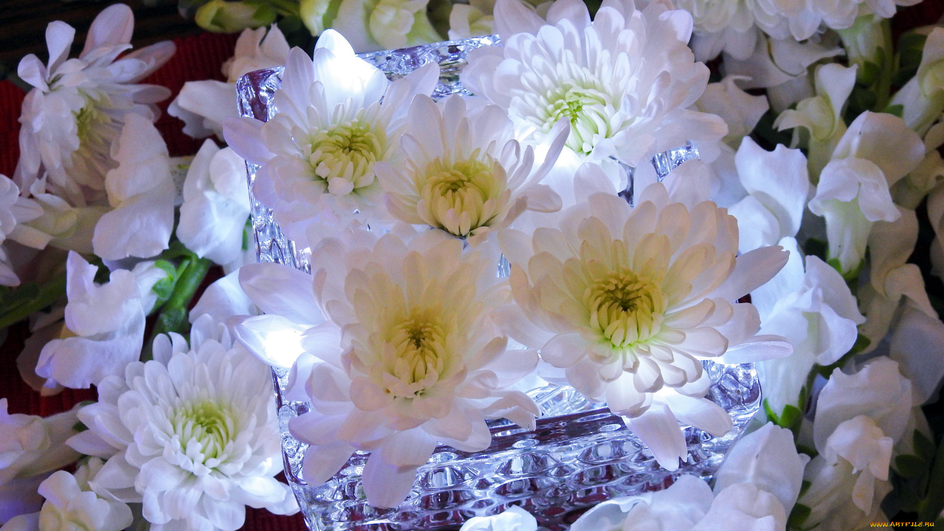 цветы, хризантемы, ваза, композиция