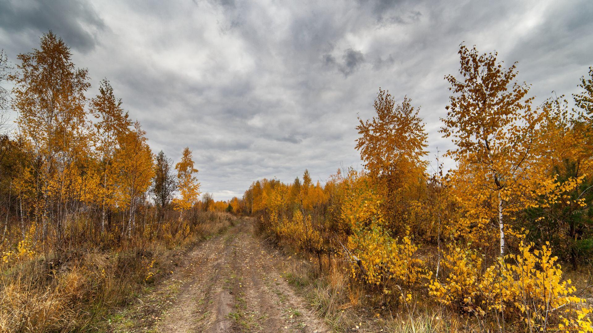 природа, дороги, тракт