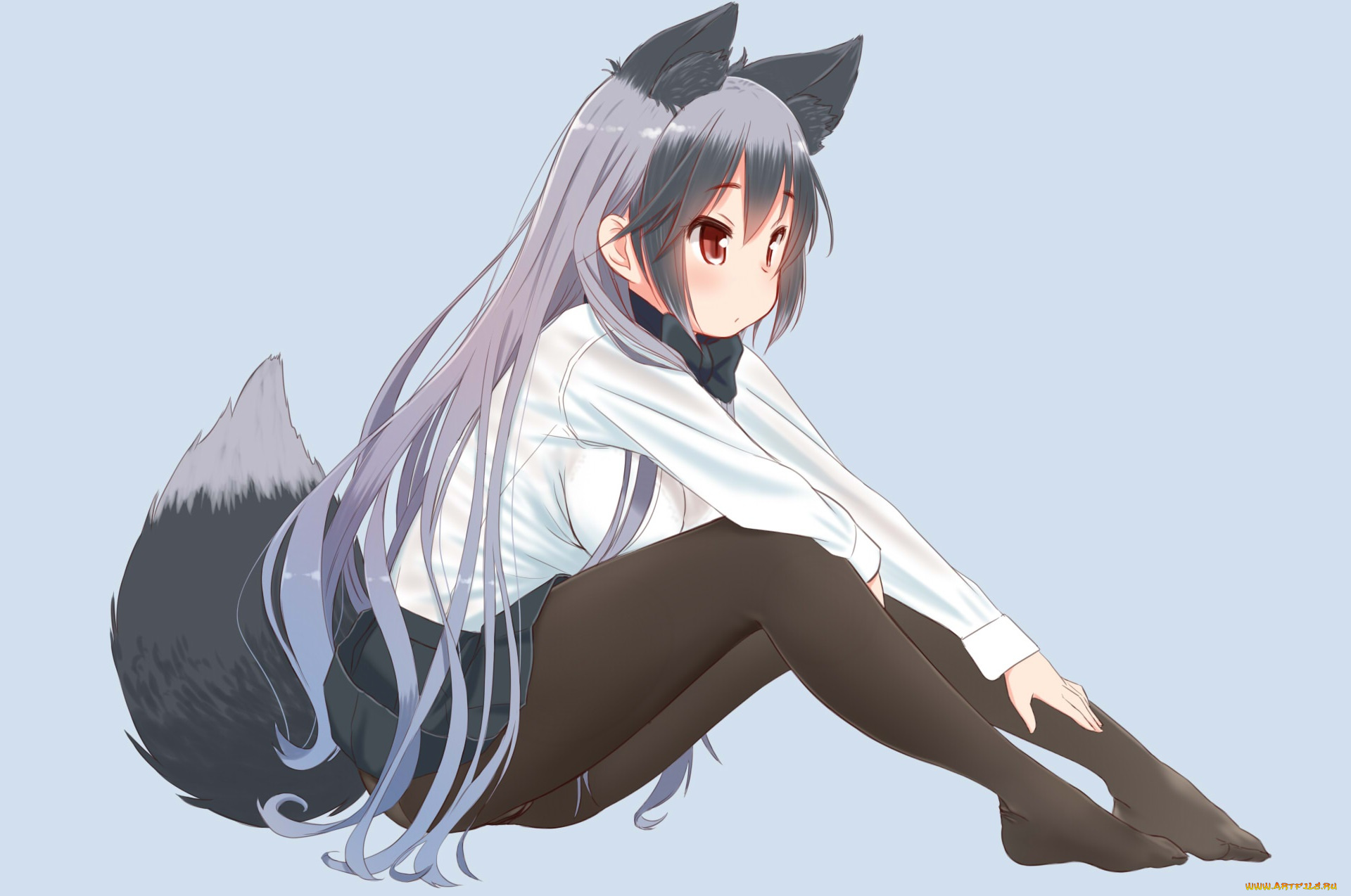 Maru fox. Shirogane Кицунэ. Silver Fox Kemono.
