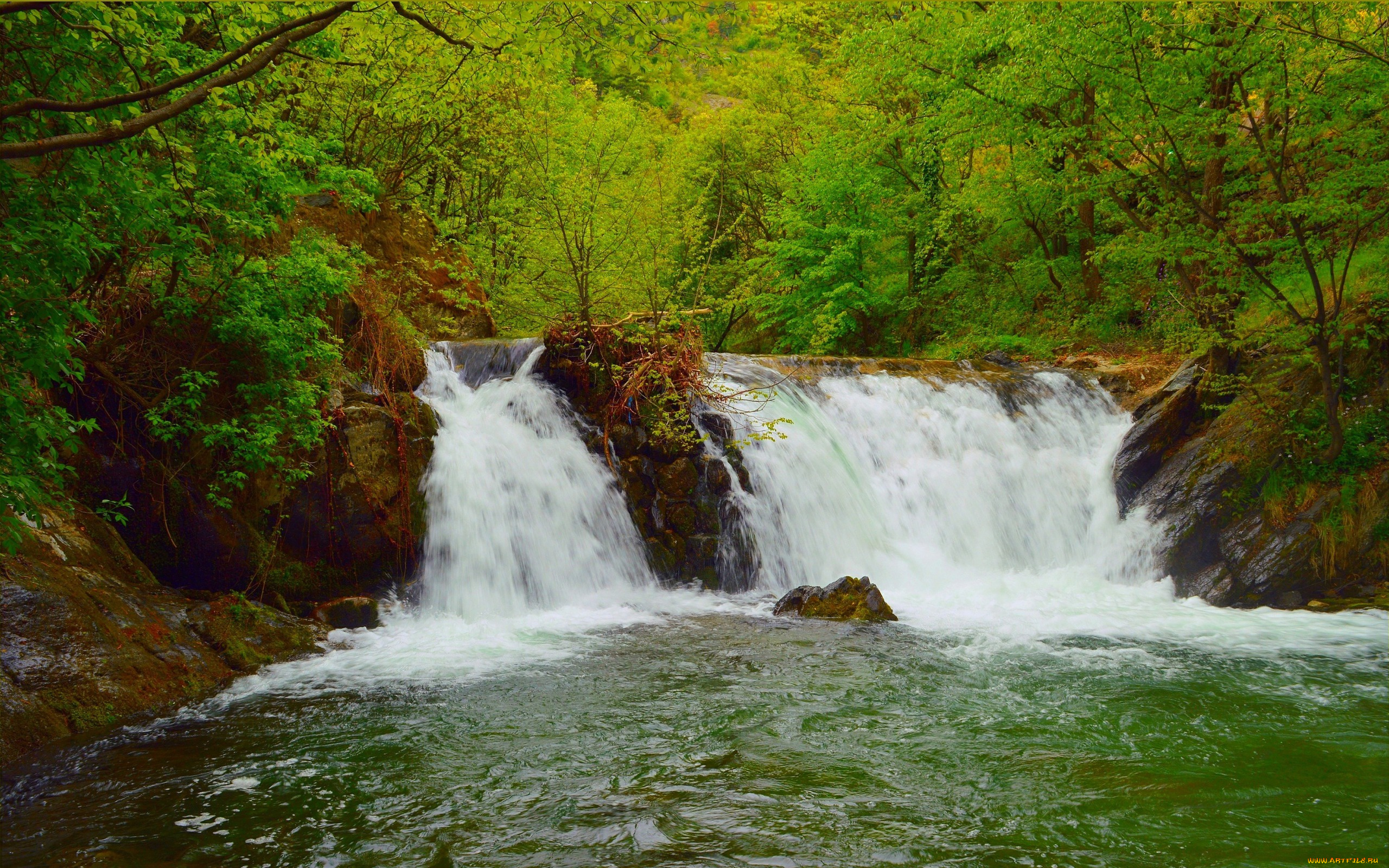 природа, водопады, лес, водопад