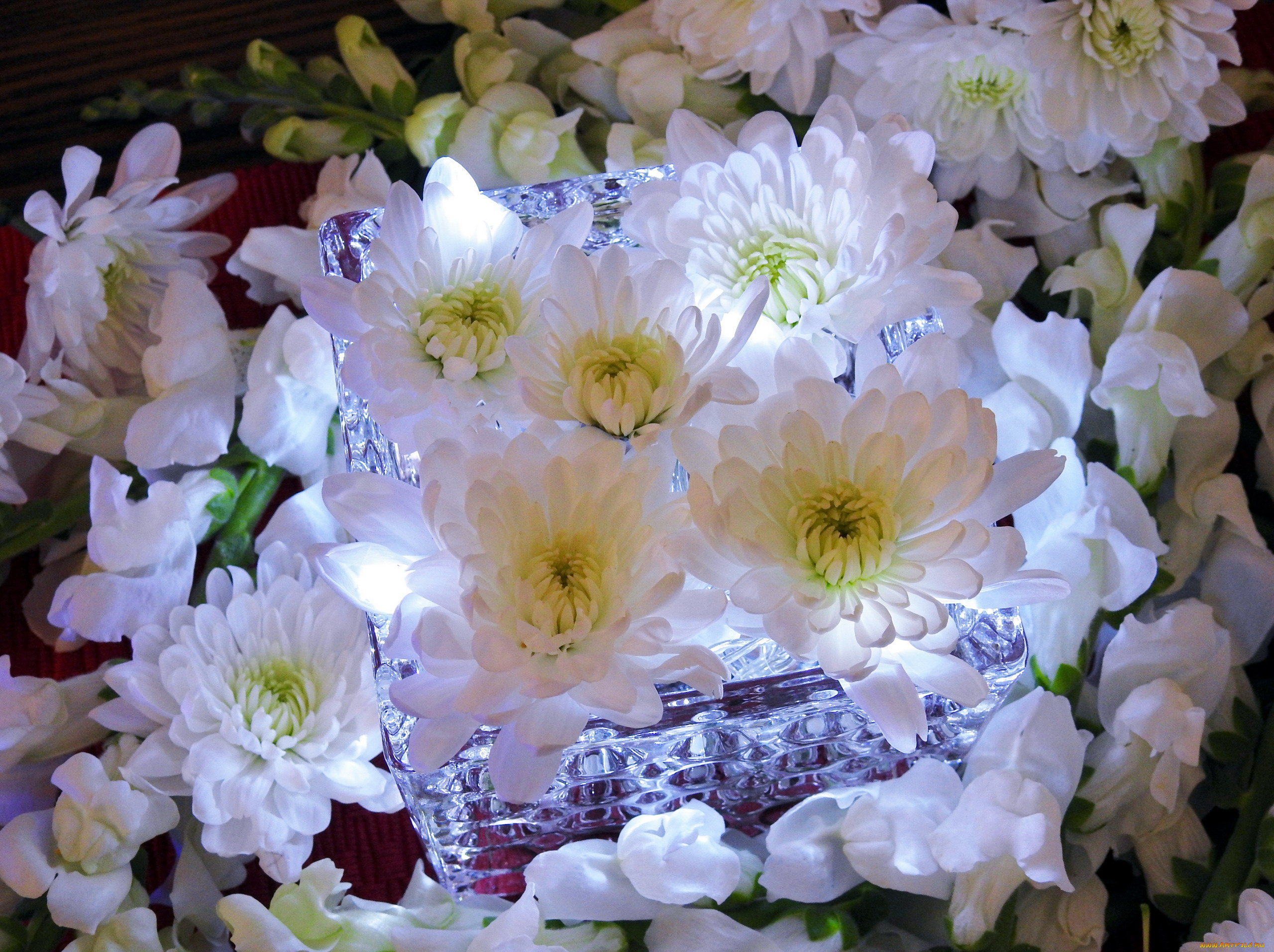 цветы, хризантемы, ваза, композиция