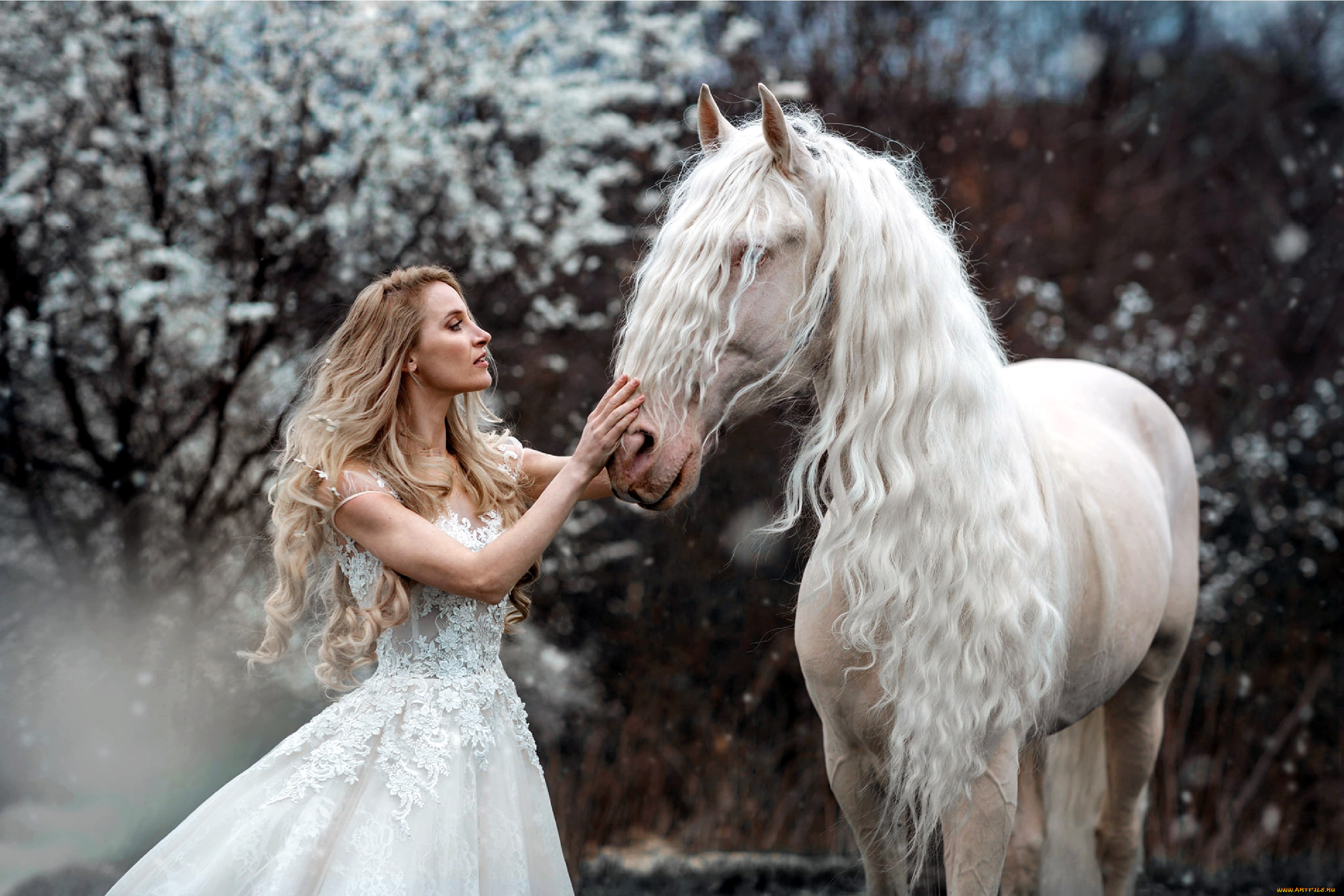 девушки, -, невесты, невеста, свадебное, платье, блондинка, лошадь, marie, kruzikova