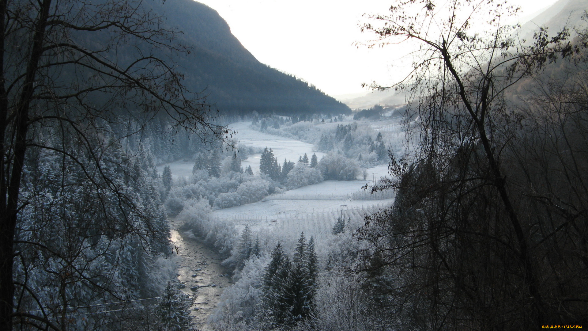 природа, зима, панорама, туман, долина, горы