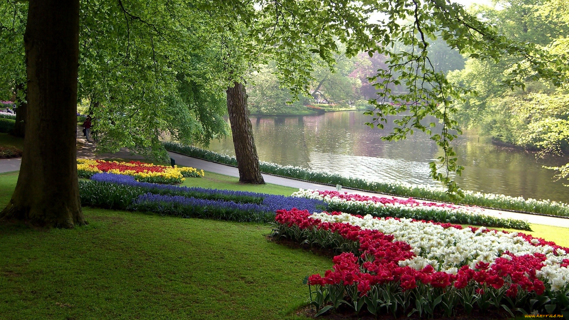 природа, парк, река, деревья, клумбы, тюльпаны