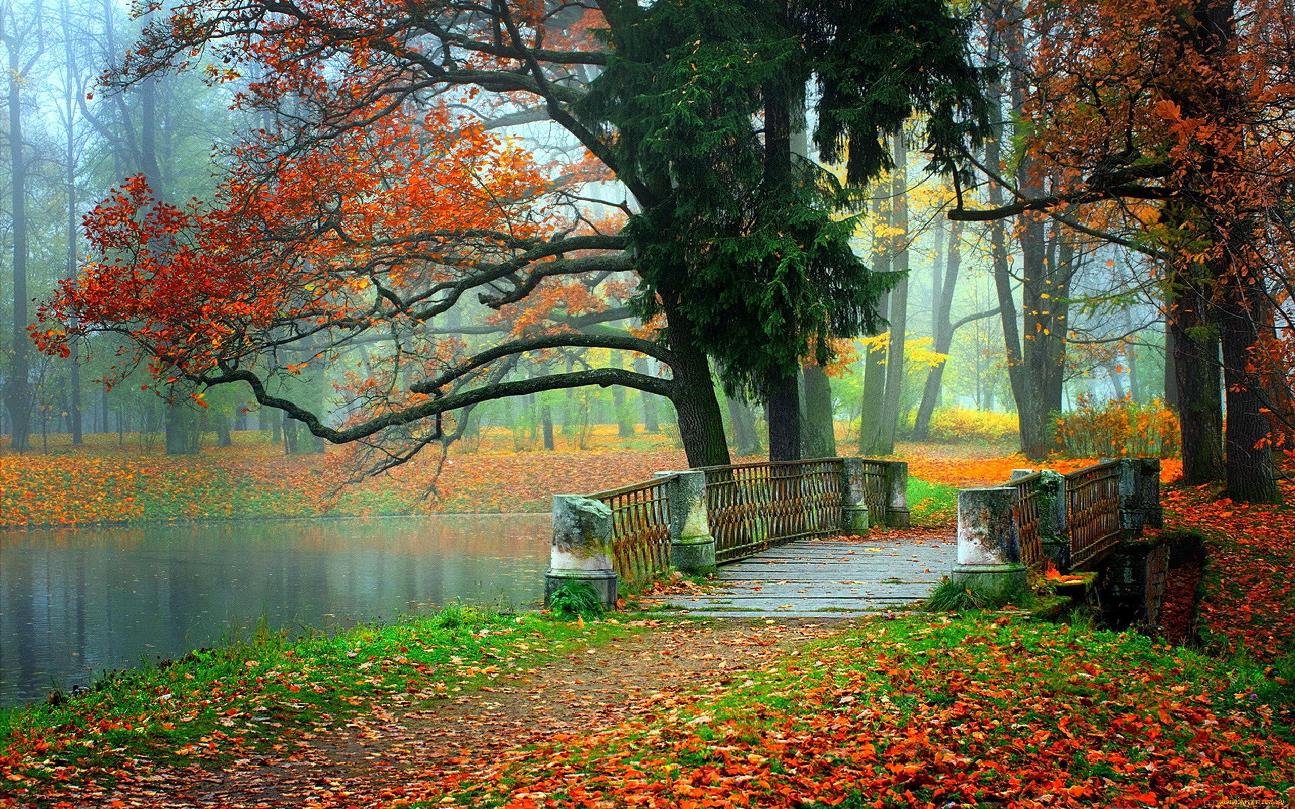 природа, парк, листья, листопад, мостик, водоем, осень
